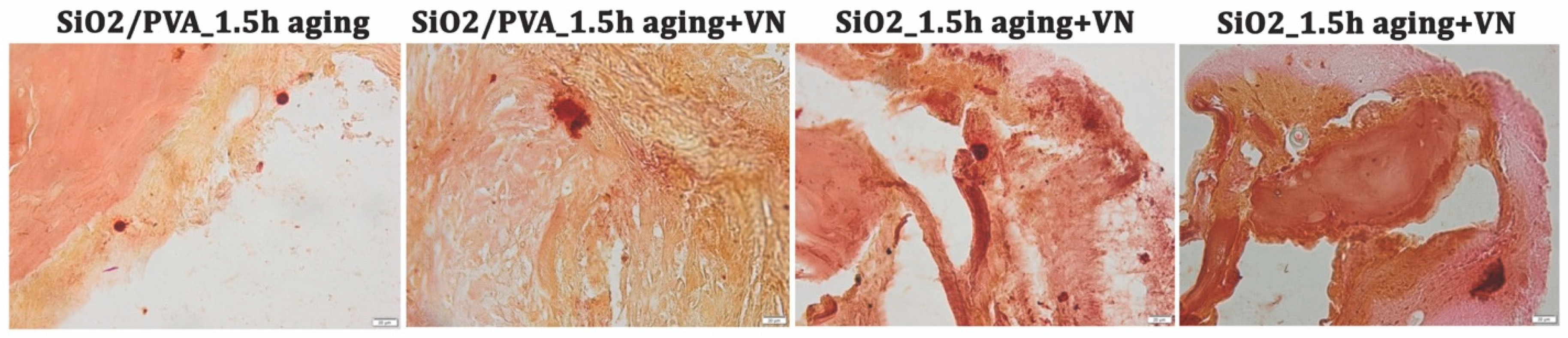 Pharmaceutics 15 01728 g008 Pharmaceutics 15 01728 g008