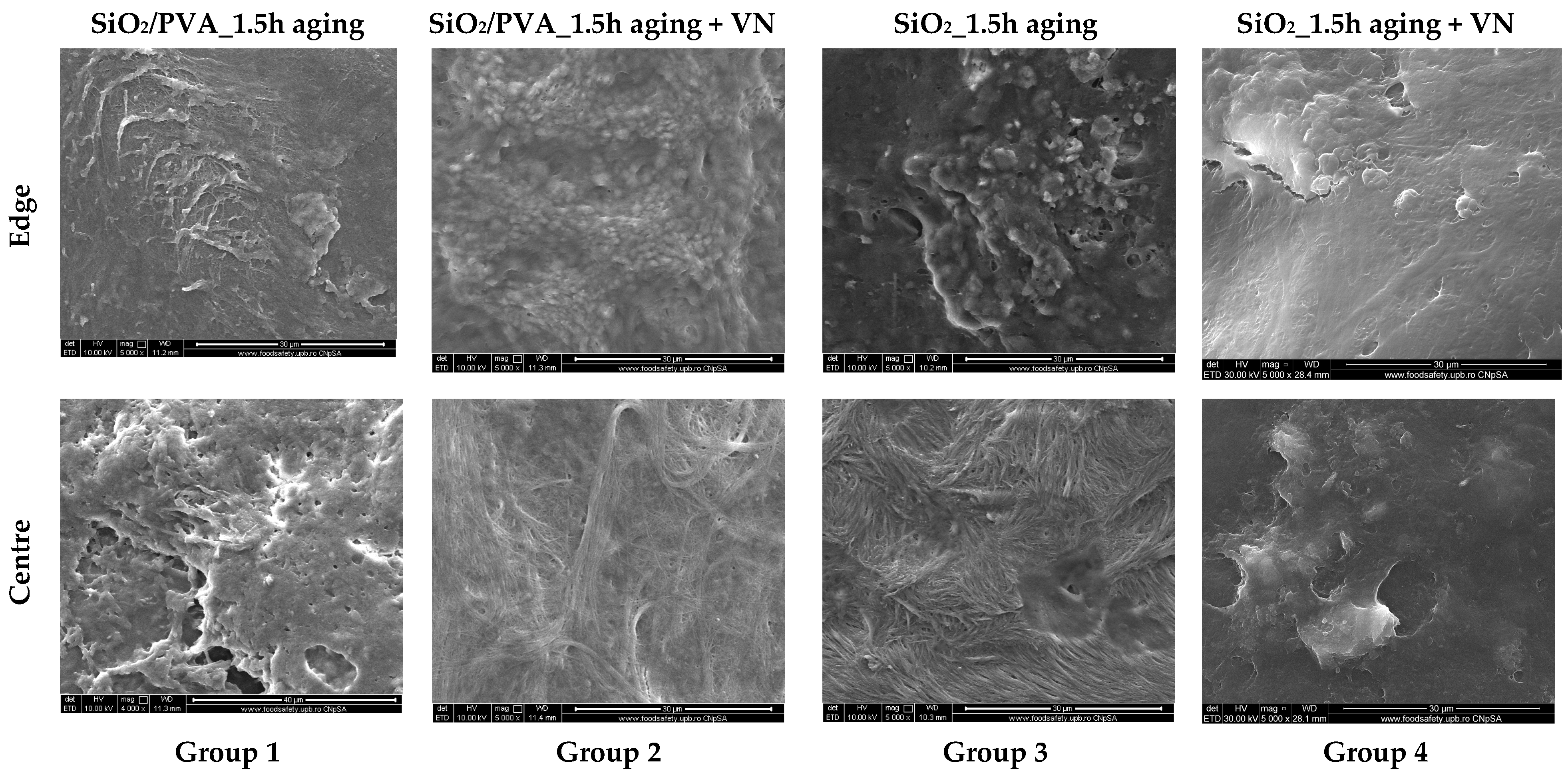 Pharmaceutics 15 01728 g009 Pharmaceutics 15 01728 g009