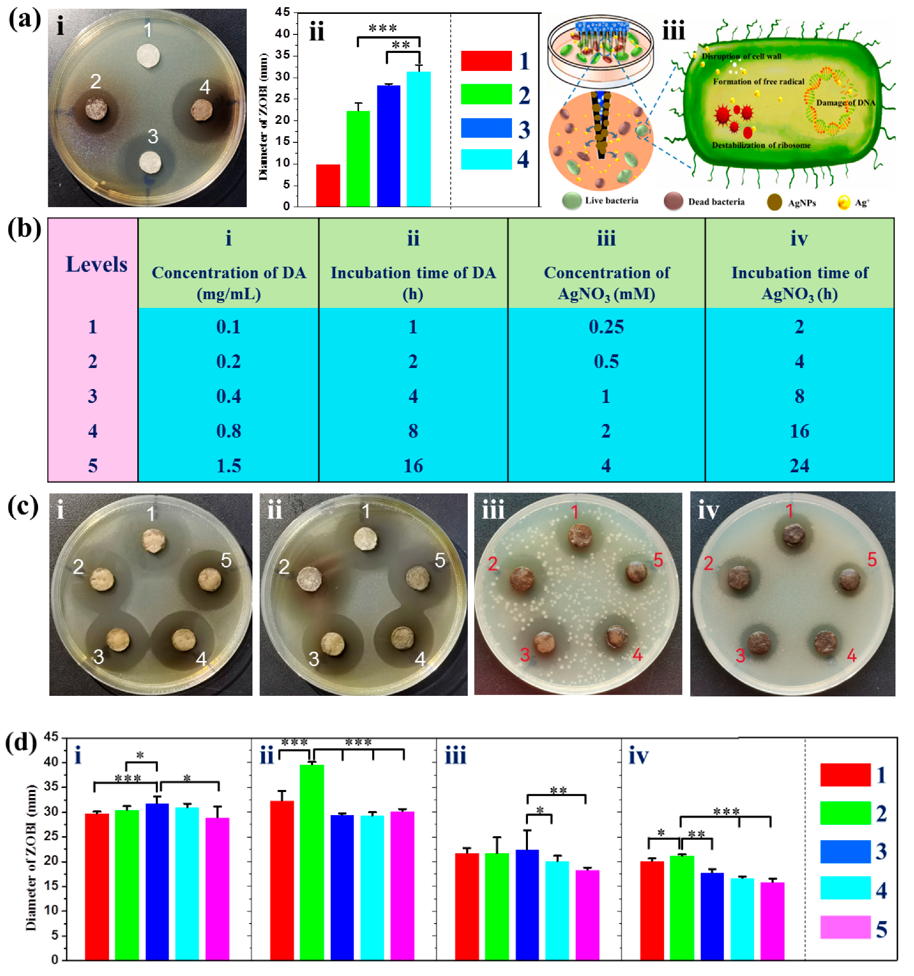 Pharmaceutics 15 01730 g004 Pharmaceutics 15 01730 g004