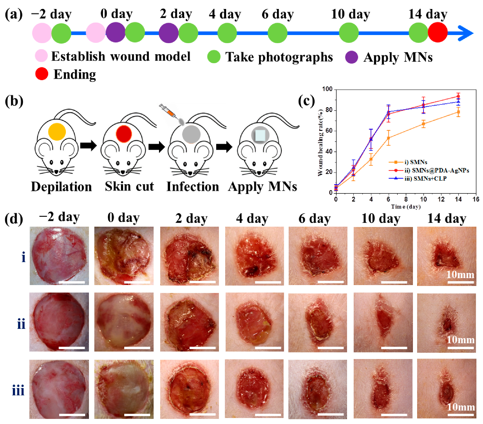 Pharmaceutics 15 01730 g005 Pharmaceutics 15 01730 g005