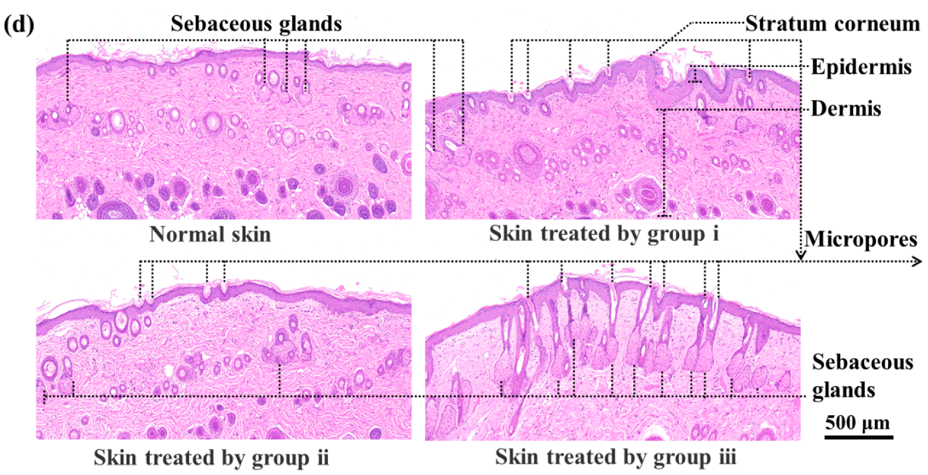 Pharmaceutics 15 01730 g006b Pharmaceutics 15 01730 g006b