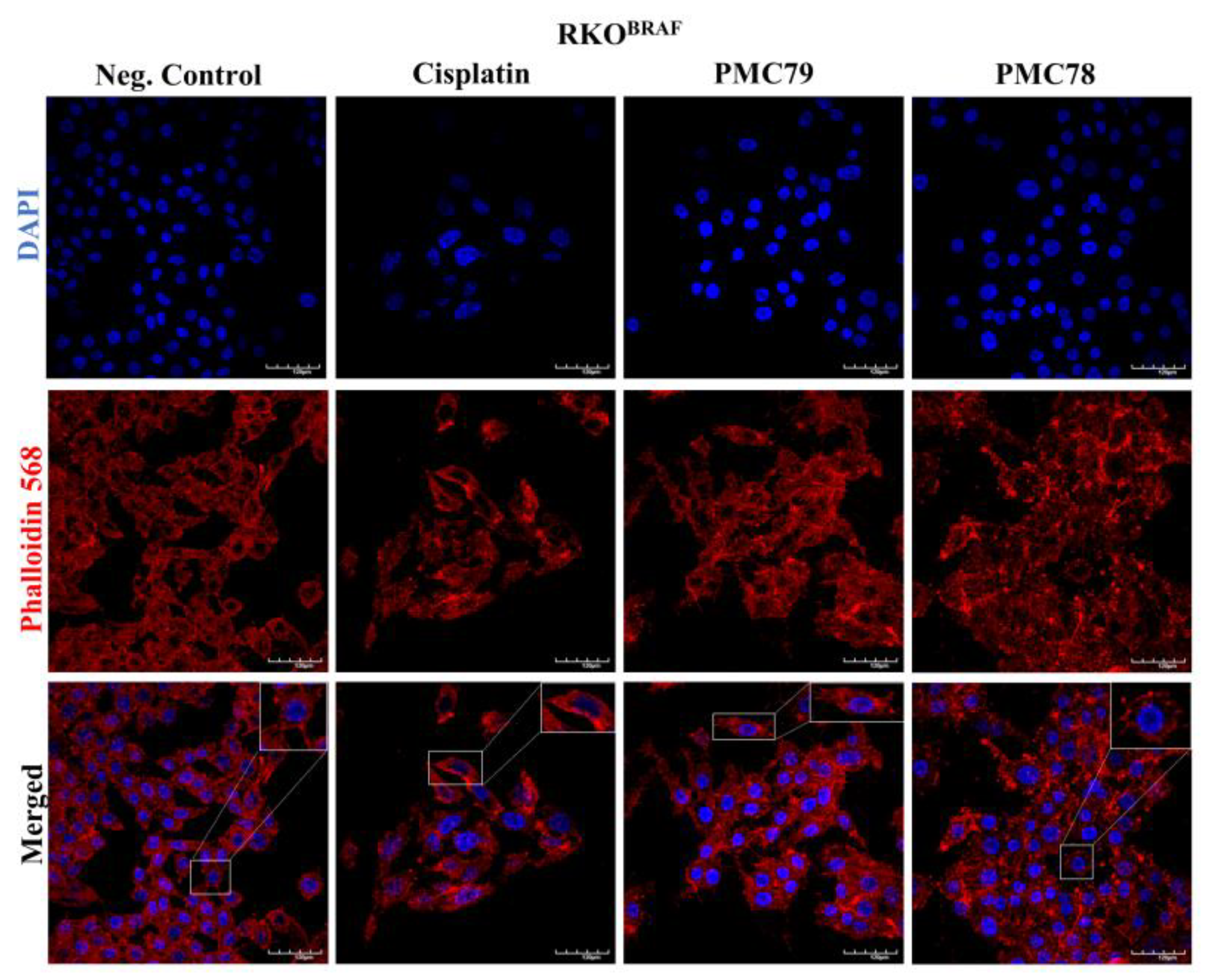 Pharmaceutics 15 01731 g014 Pharmaceutics 15 01731 g014