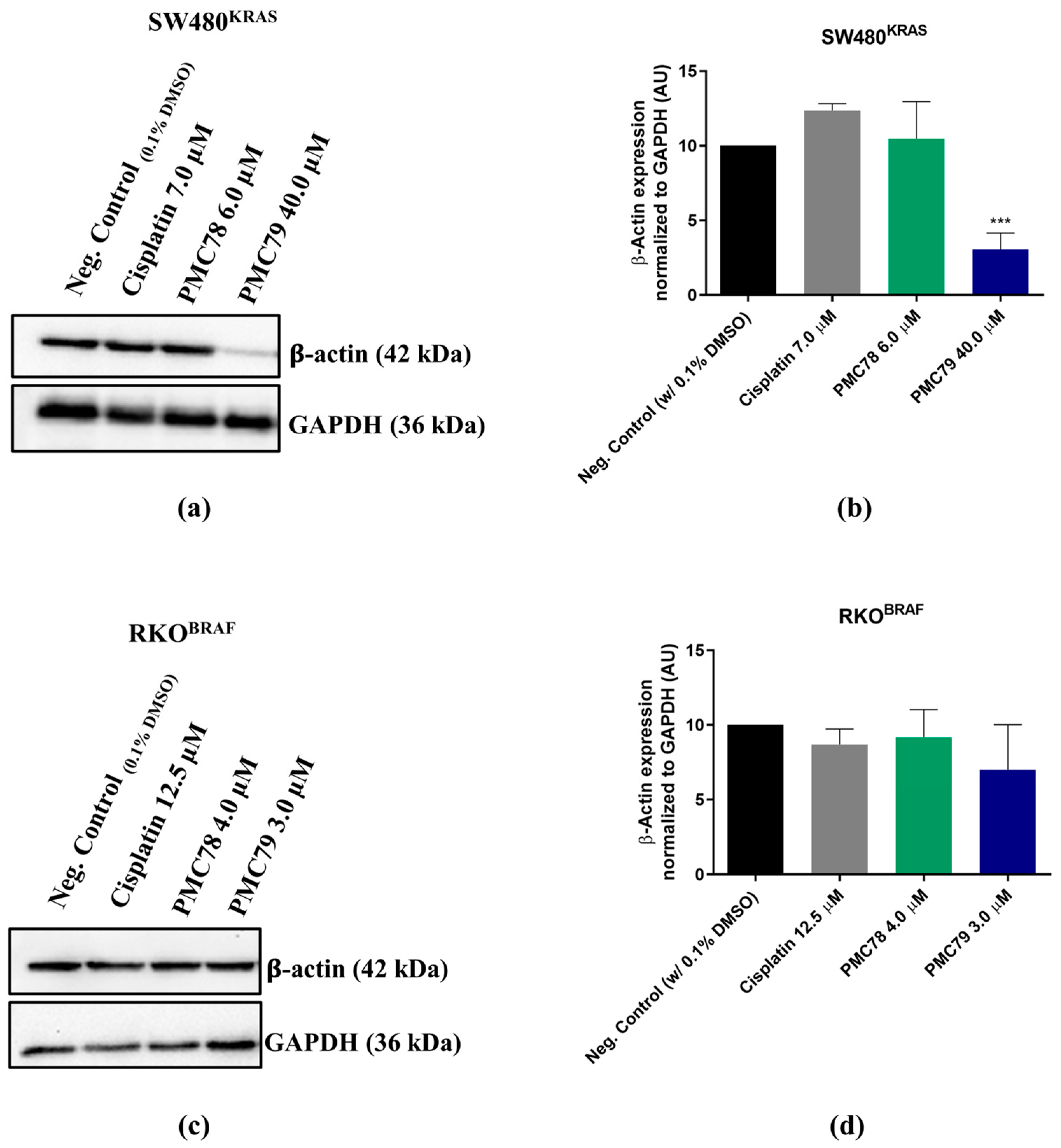Pharmaceutics 15 01731 g015 Pharmaceutics 15 01731 g015