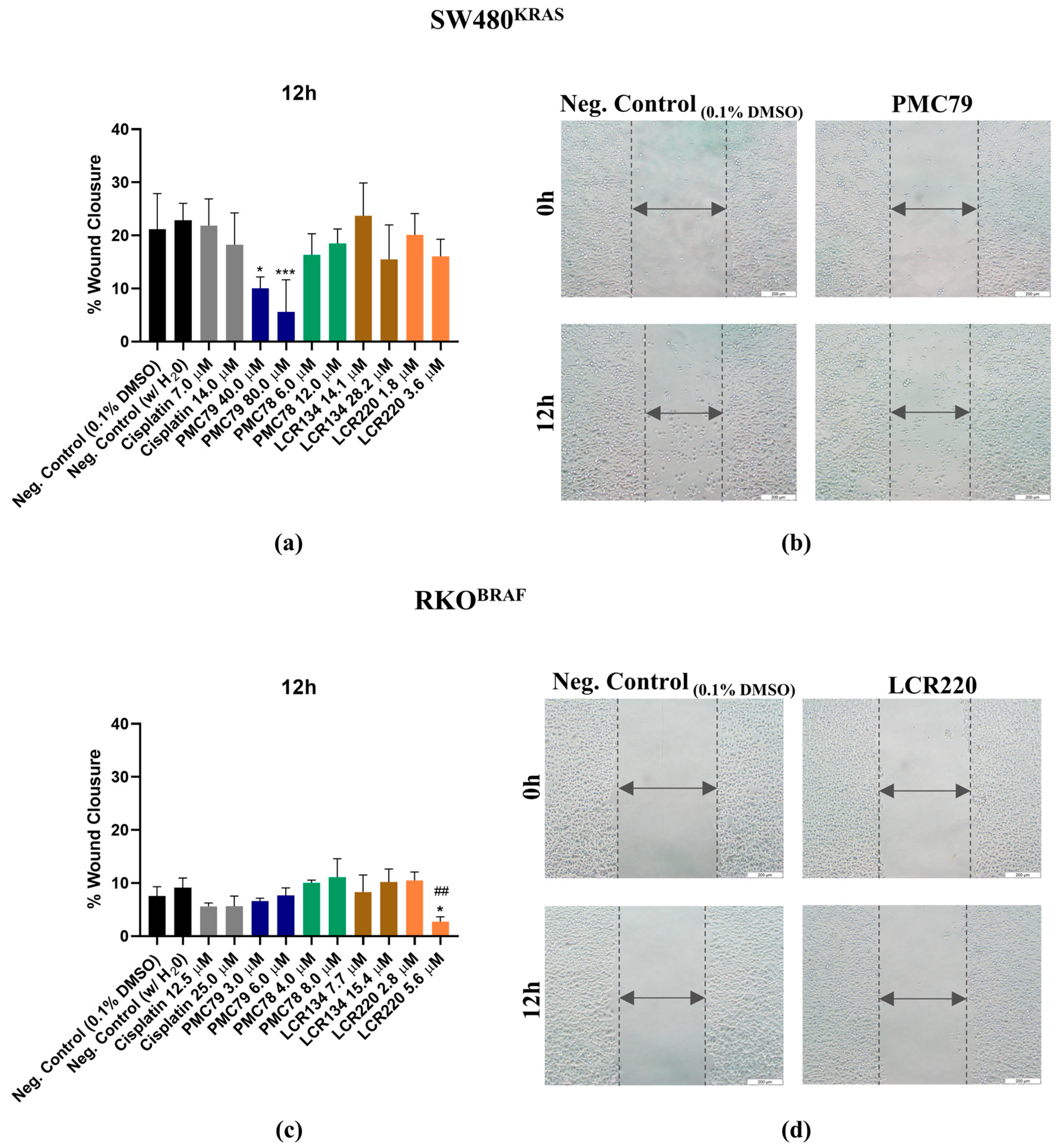 Pharmaceutics 15 01731 g016 Pharmaceutics 15 01731 g016