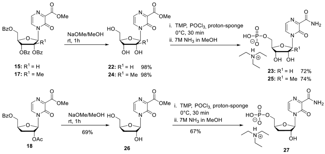 Pharmaceutics 15 01732 i006 Pharmaceutics 15 01732 i006
