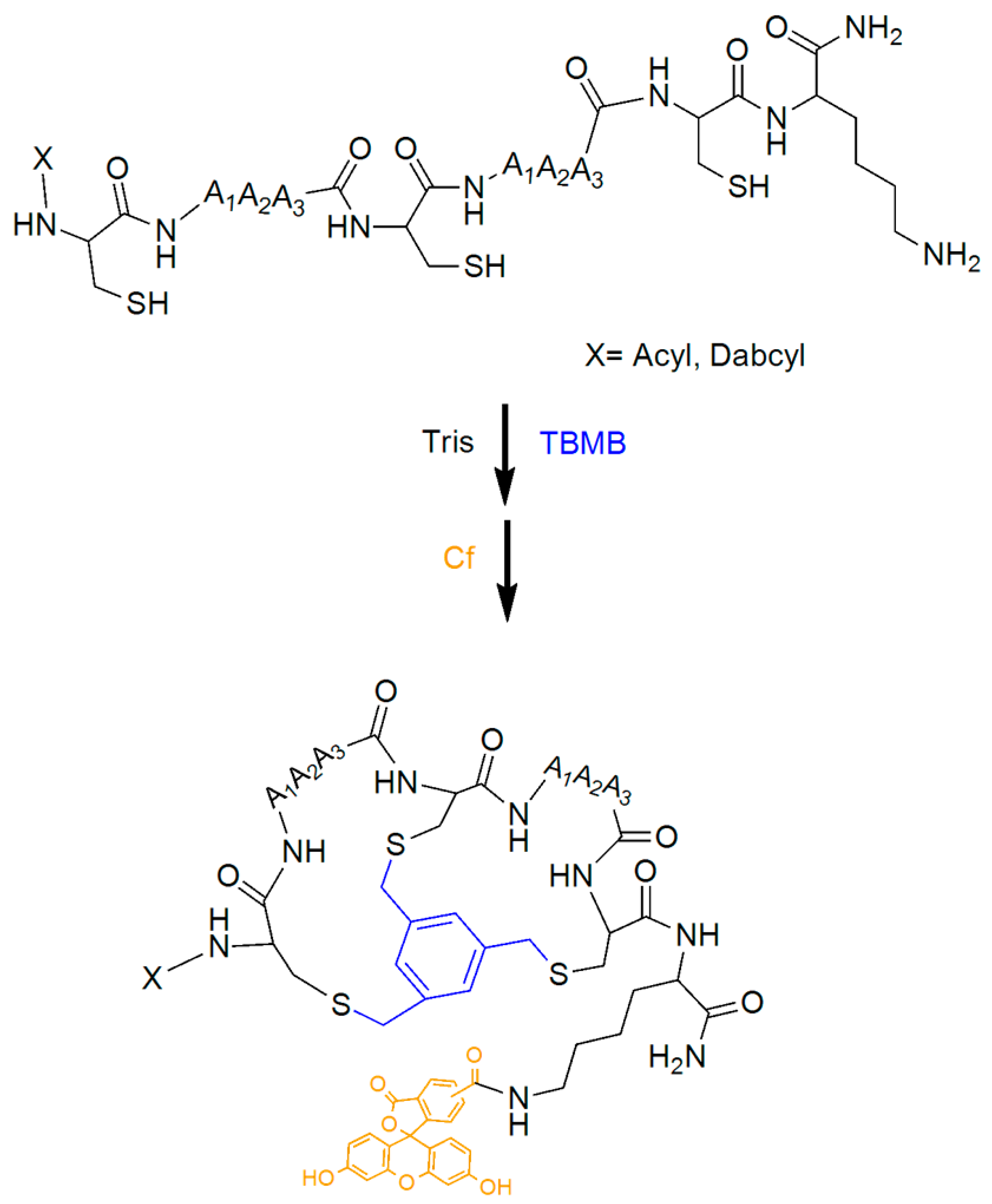 Pharmaceutics 15 01736 sch001