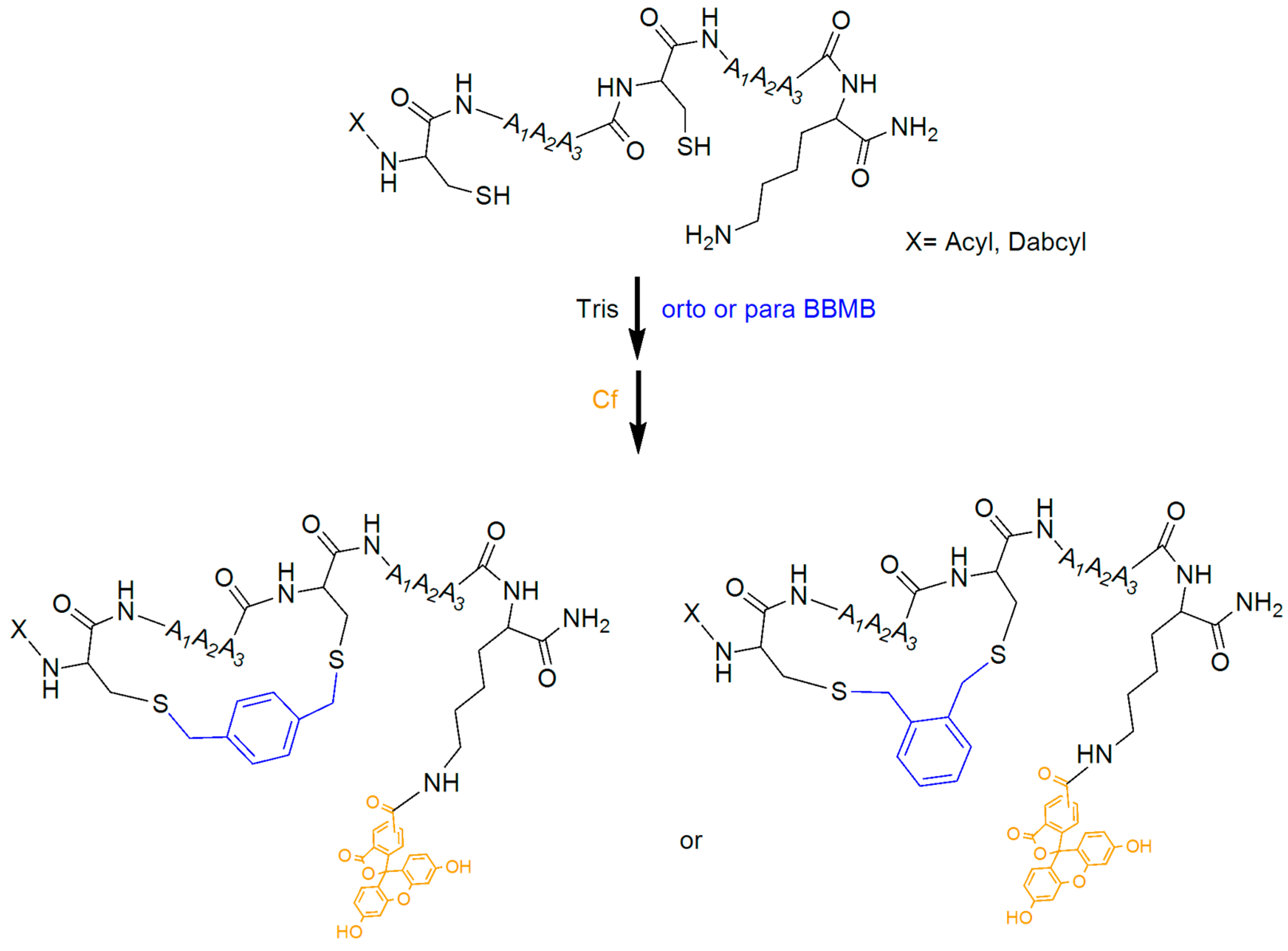 Pharmaceutics 15 01736 sch002