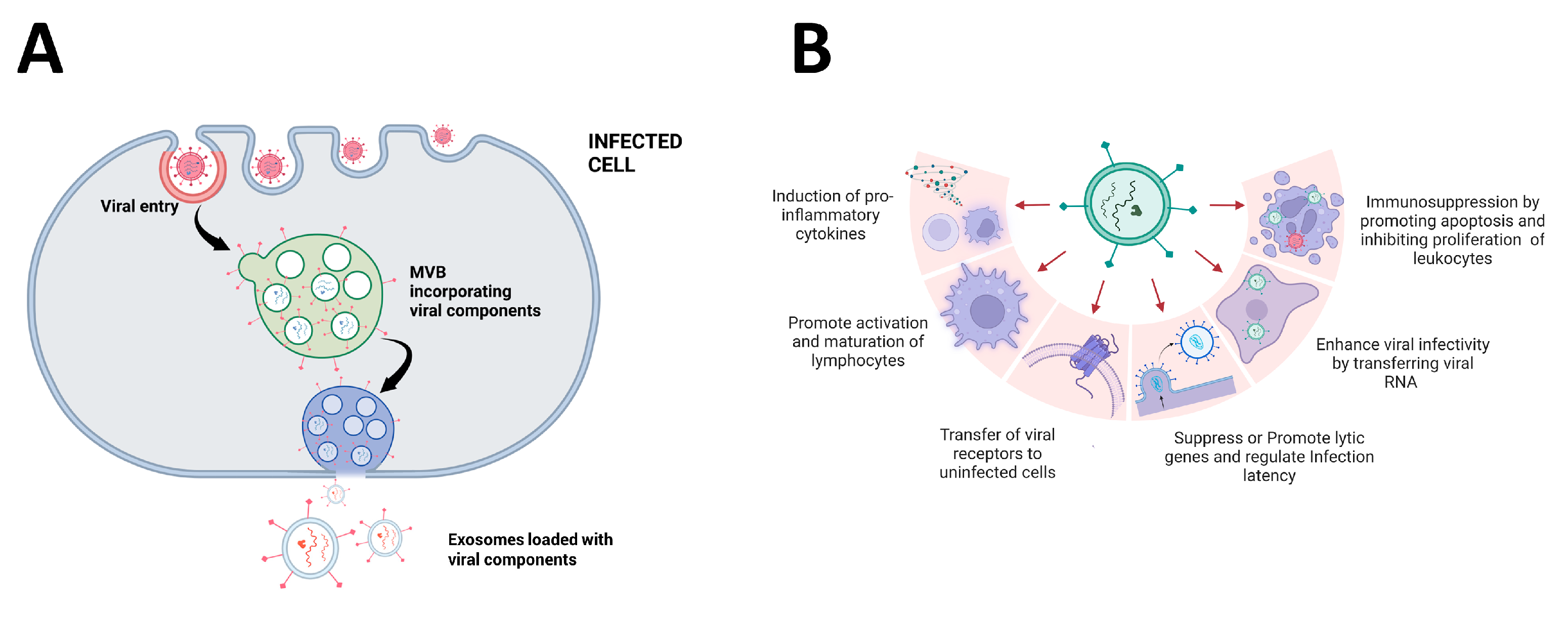 Pharmaceutics 15 01738 g002