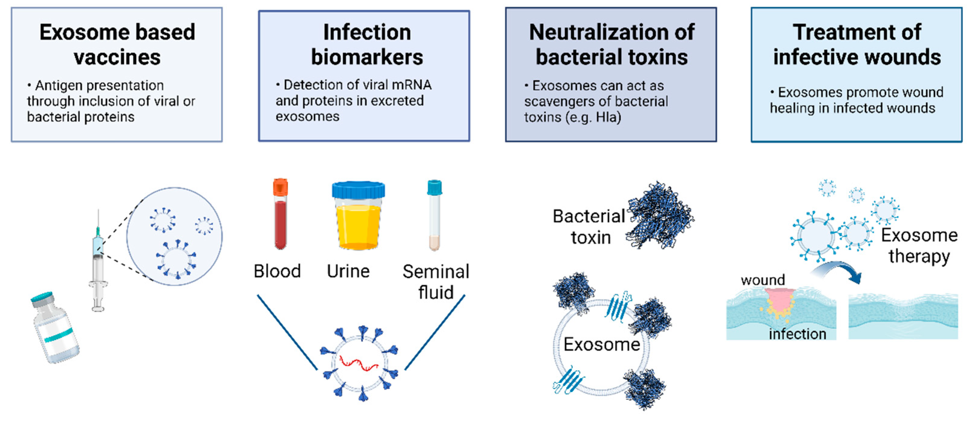 Pharmaceutics 15 01738 g004