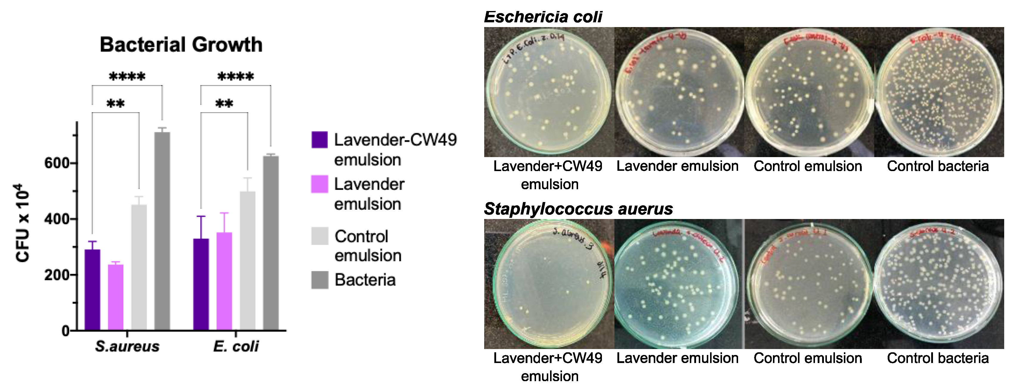 Pharmaceutics 15 01739 g003