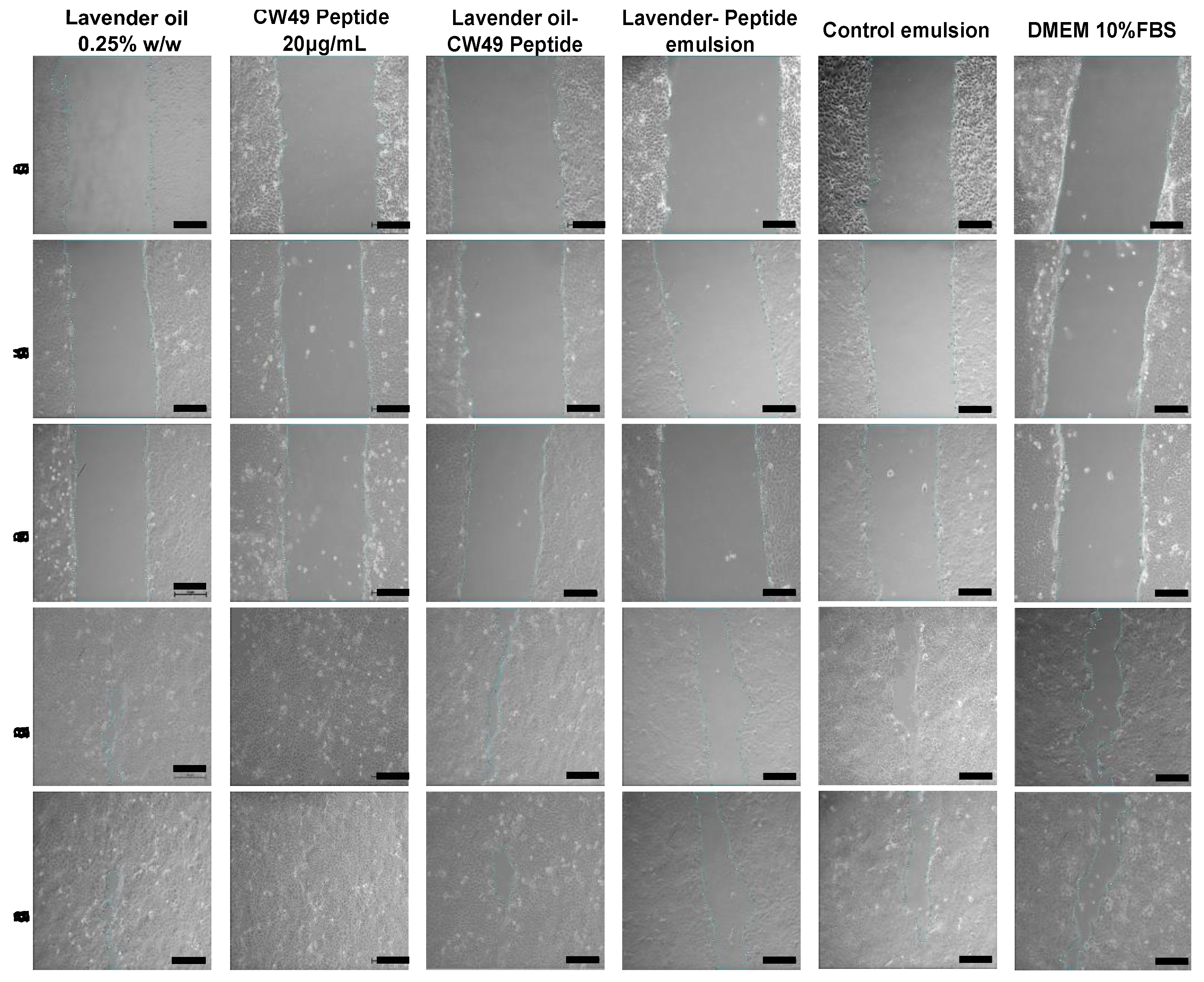 Pharmaceutics 15 01739 g004