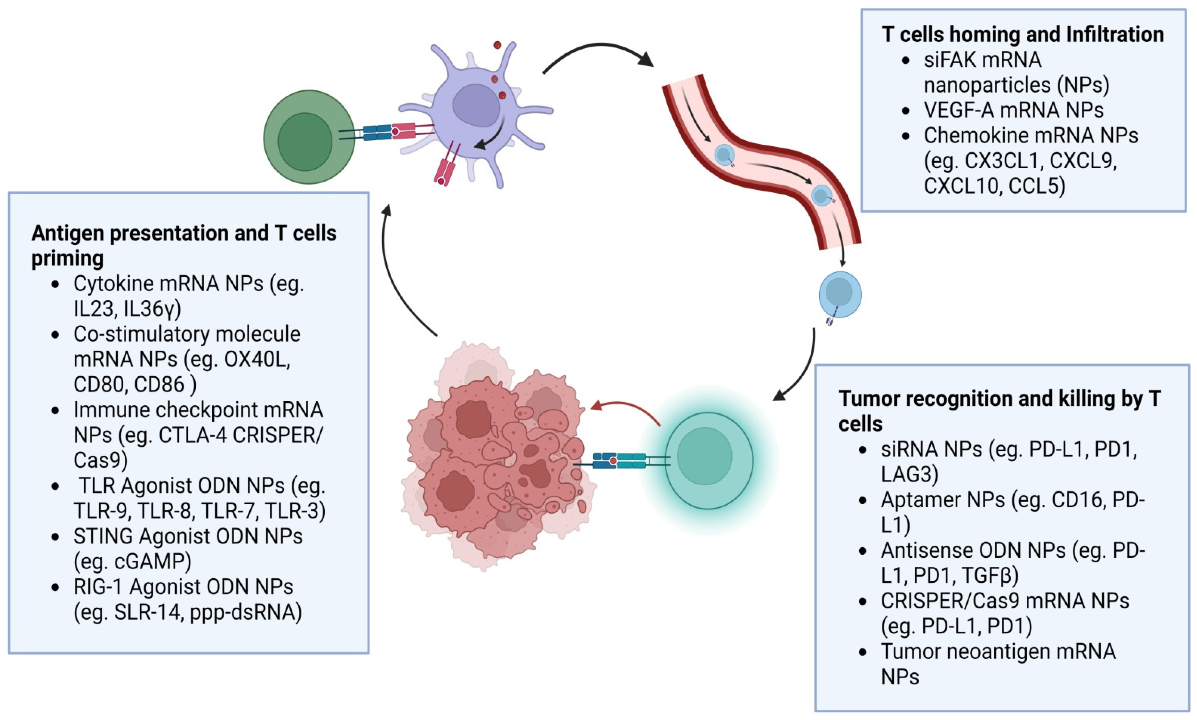Pharmaceutics 15 01743 g004 Pharmaceutics 15 01743 g004