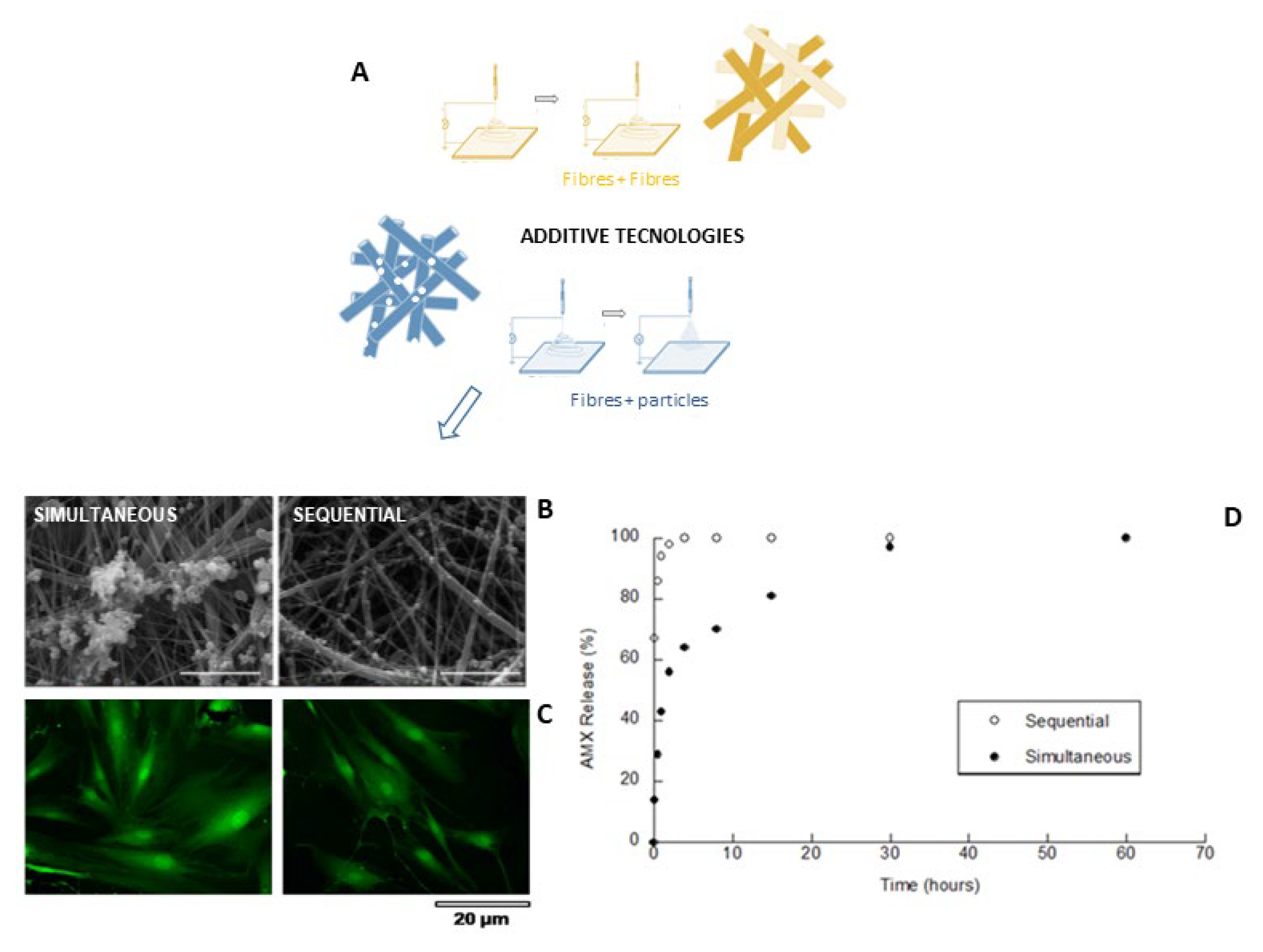 Pharmaceutics 15 01744 g002