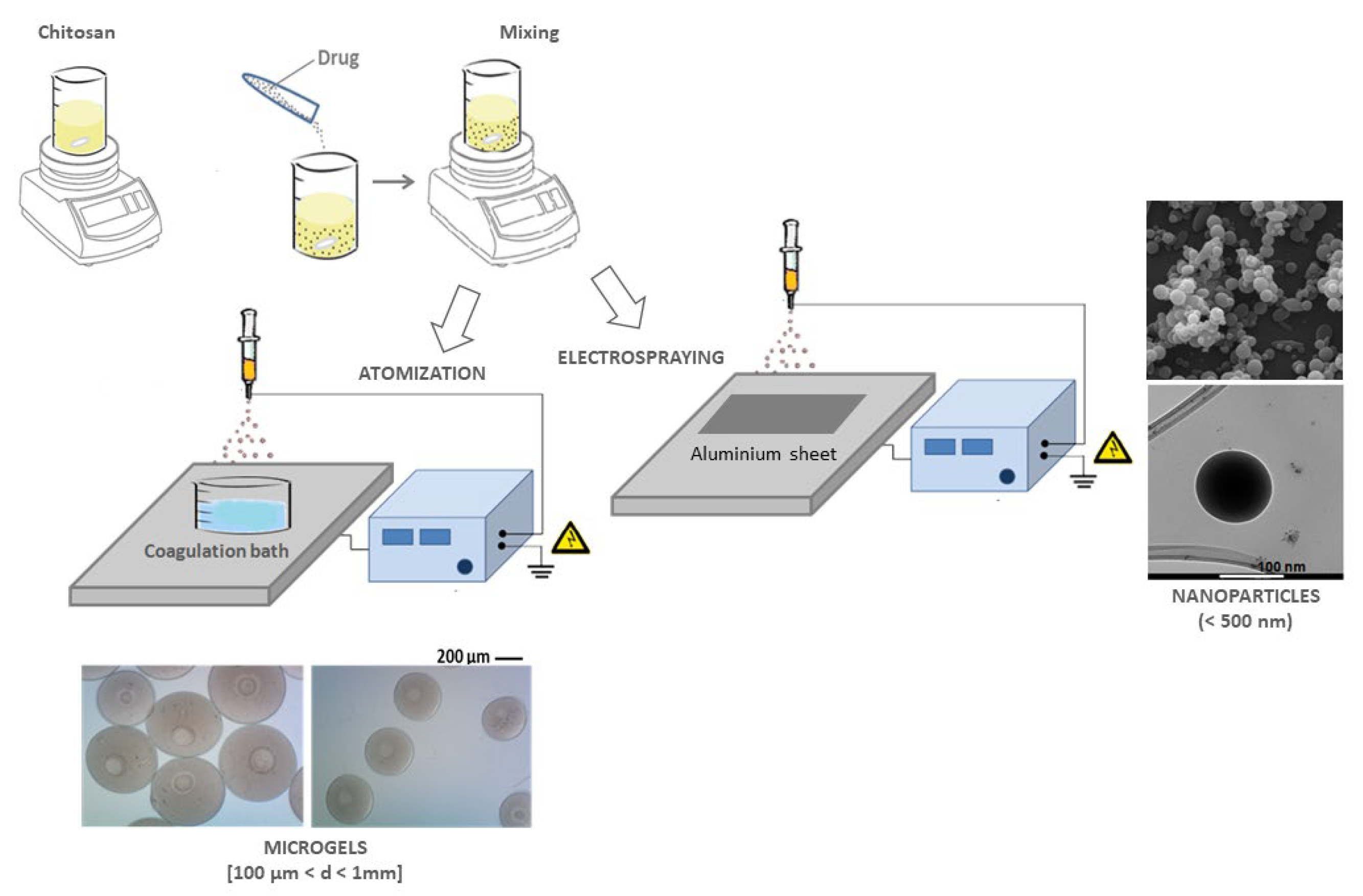 Pharmaceutics 15 01744 g003