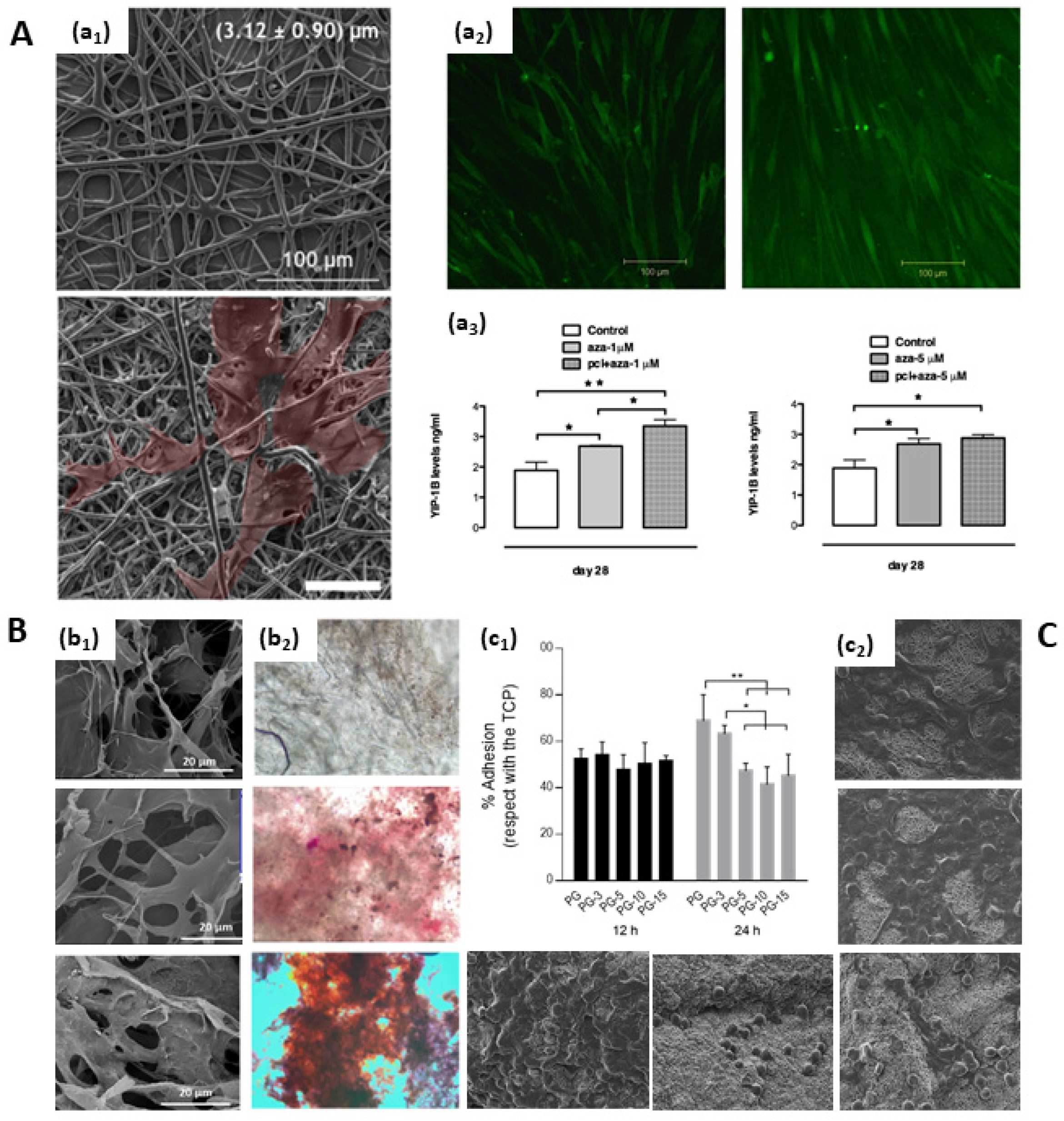 Pharmaceutics 15 01744 g008