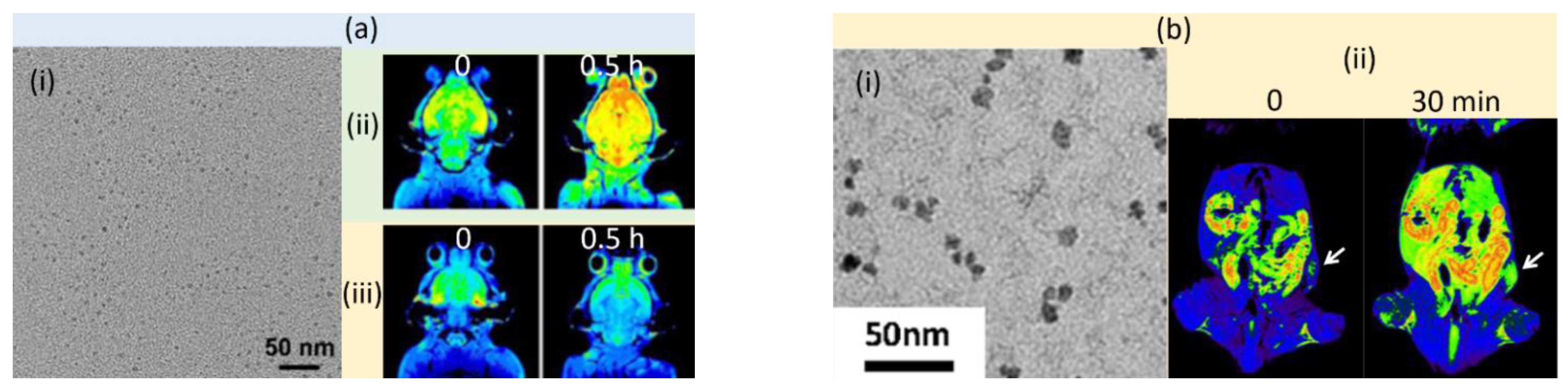 Pharmaceutics 15 01745 g002 Pharmaceutics 15 01745 g002