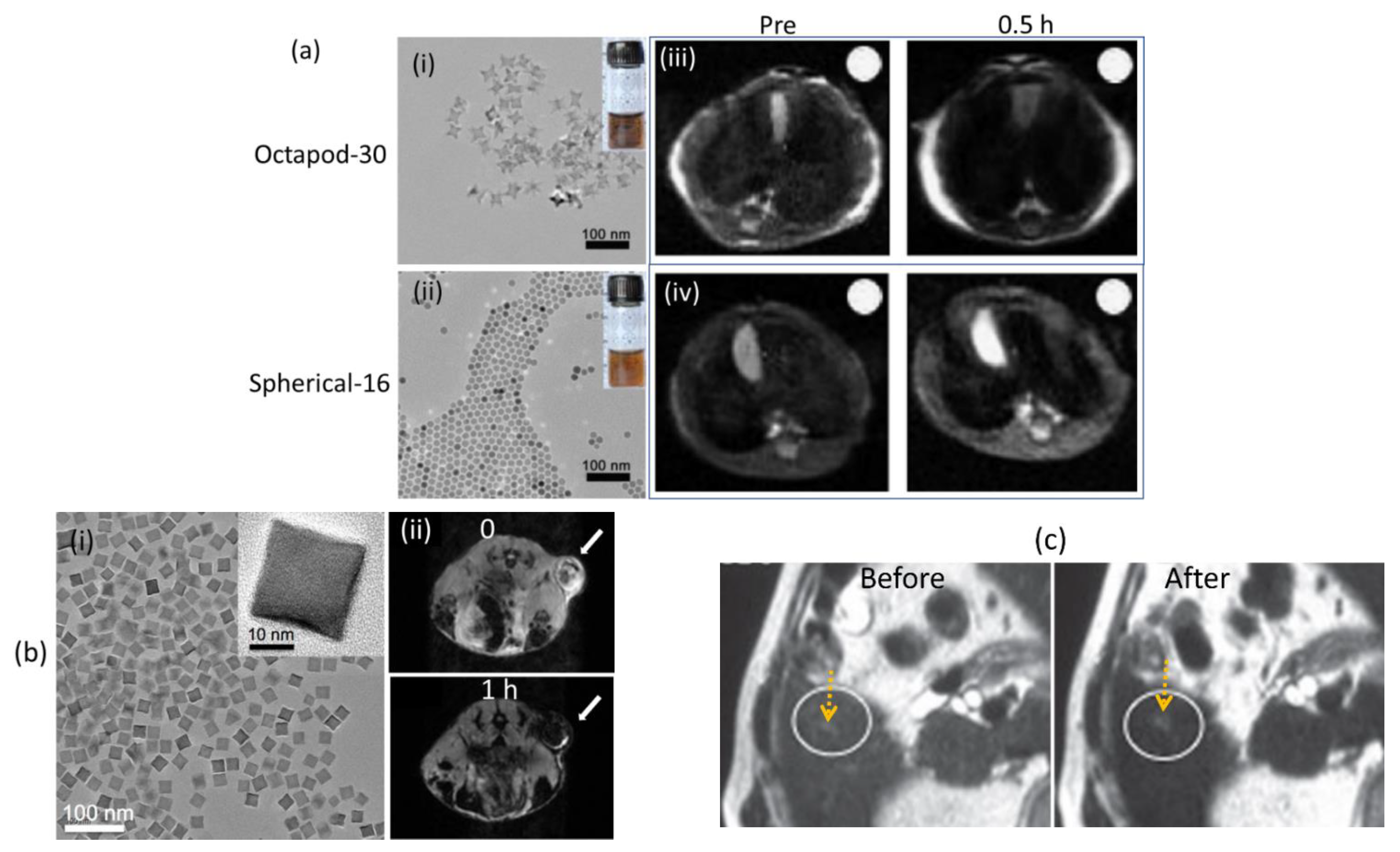 Pharmaceutics 15 01745 g003 Pharmaceutics 15 01745 g003
