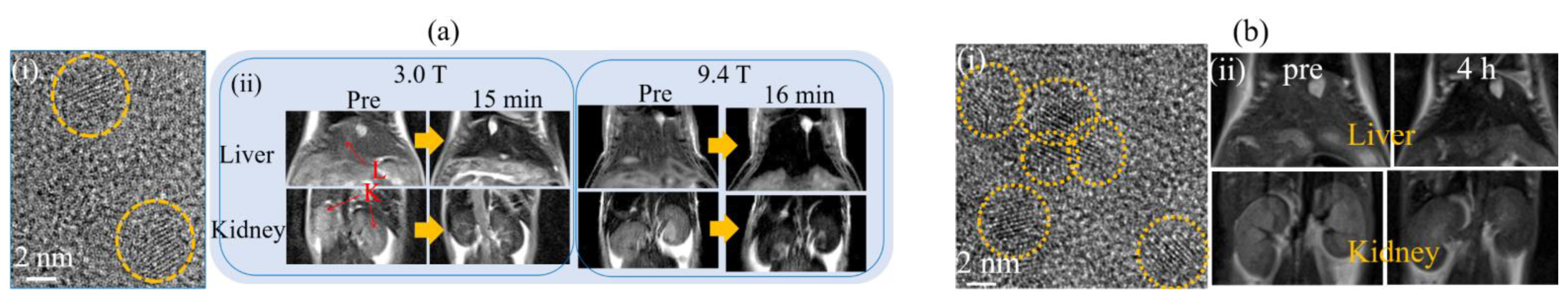 Pharmaceutics 15 01745 g005 Pharmaceutics 15 01745 g005