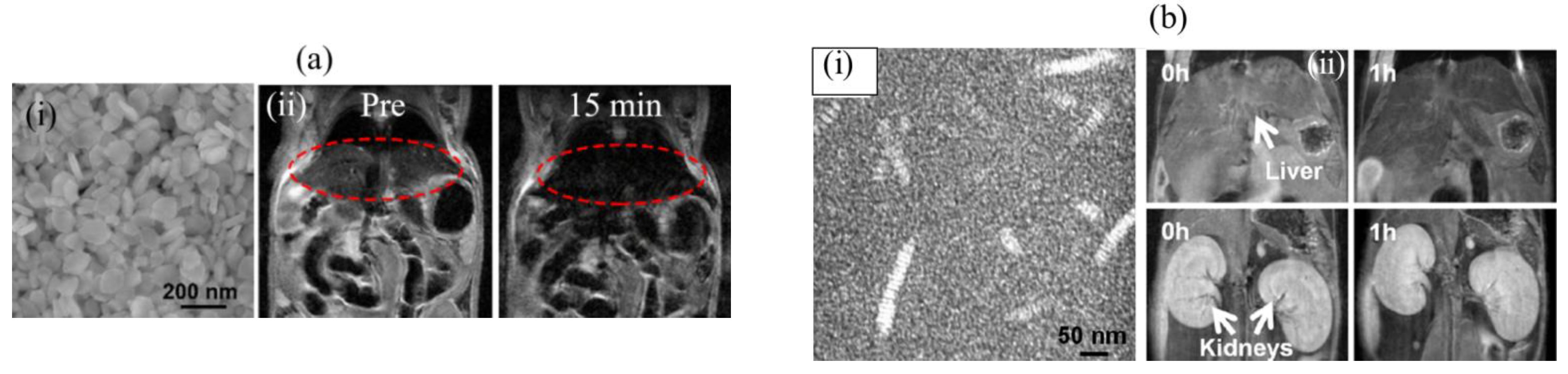 Pharmaceutics 15 01745 g006 Pharmaceutics 15 01745 g006