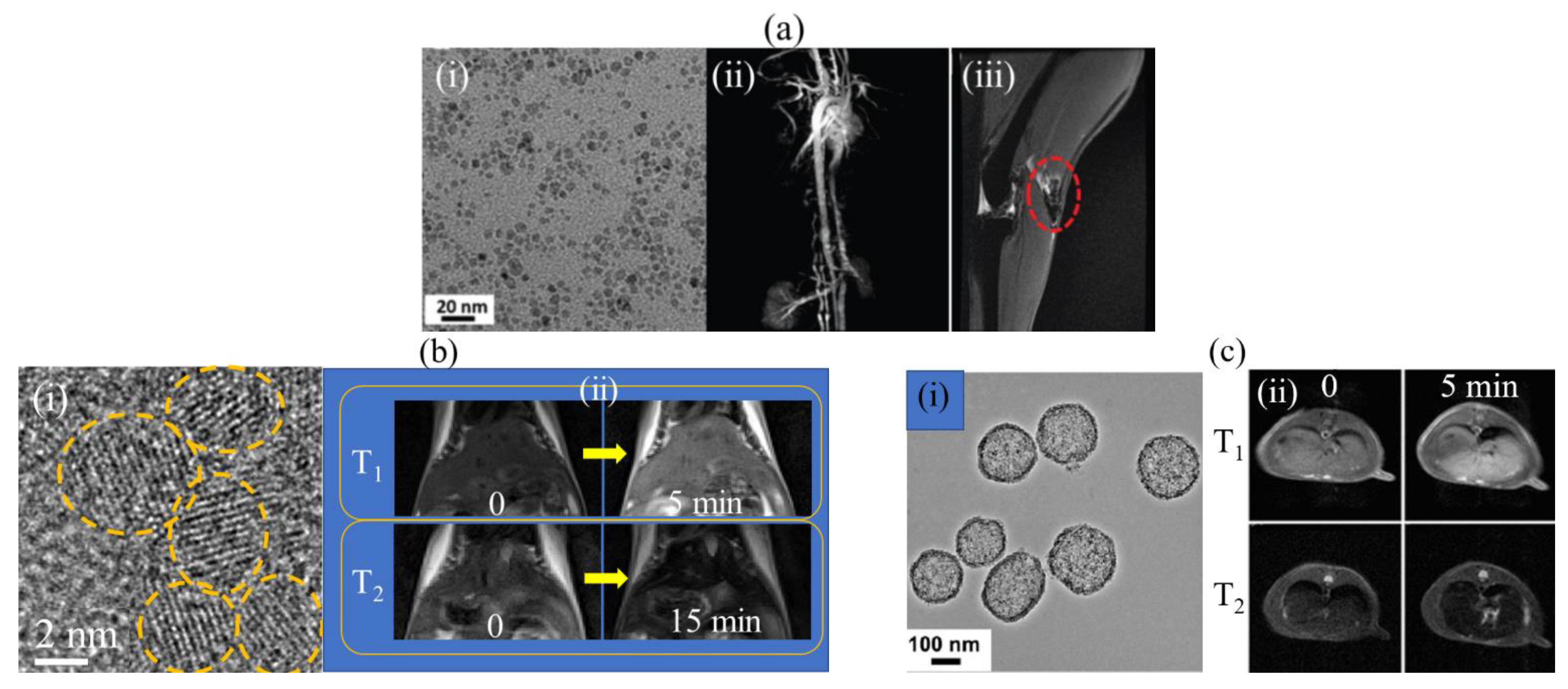 Pharmaceutics 15 01745 g007 Pharmaceutics 15 01745 g007