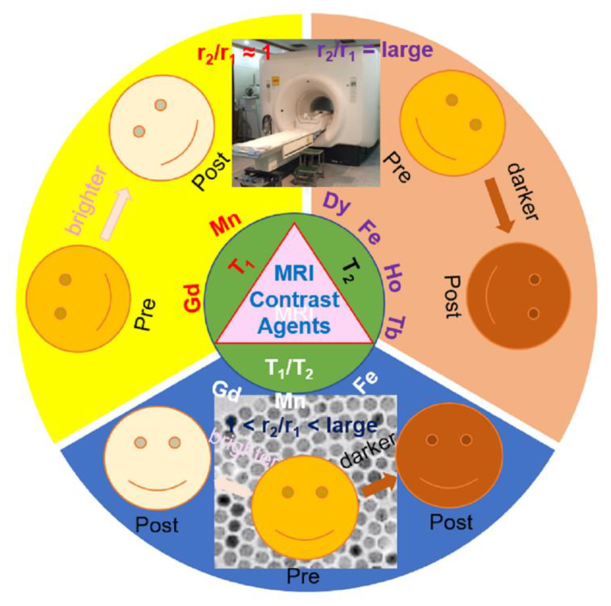 Pharmaceutics 15 01745 sch001 Pharmaceutics 15 01745 sch001
