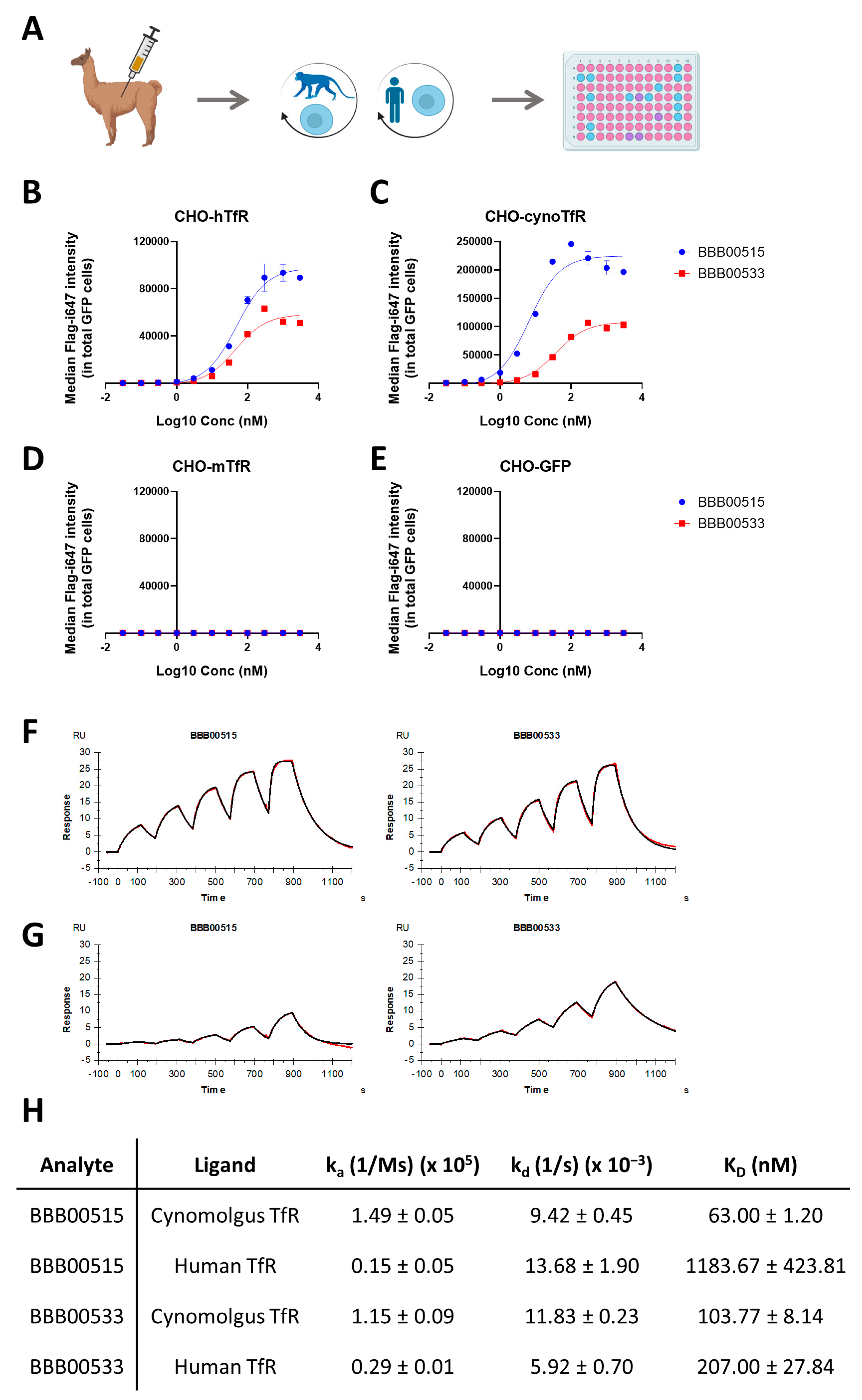 Pharmaceutics 15 01748 g001 Pharmaceutics 15 01748 g001