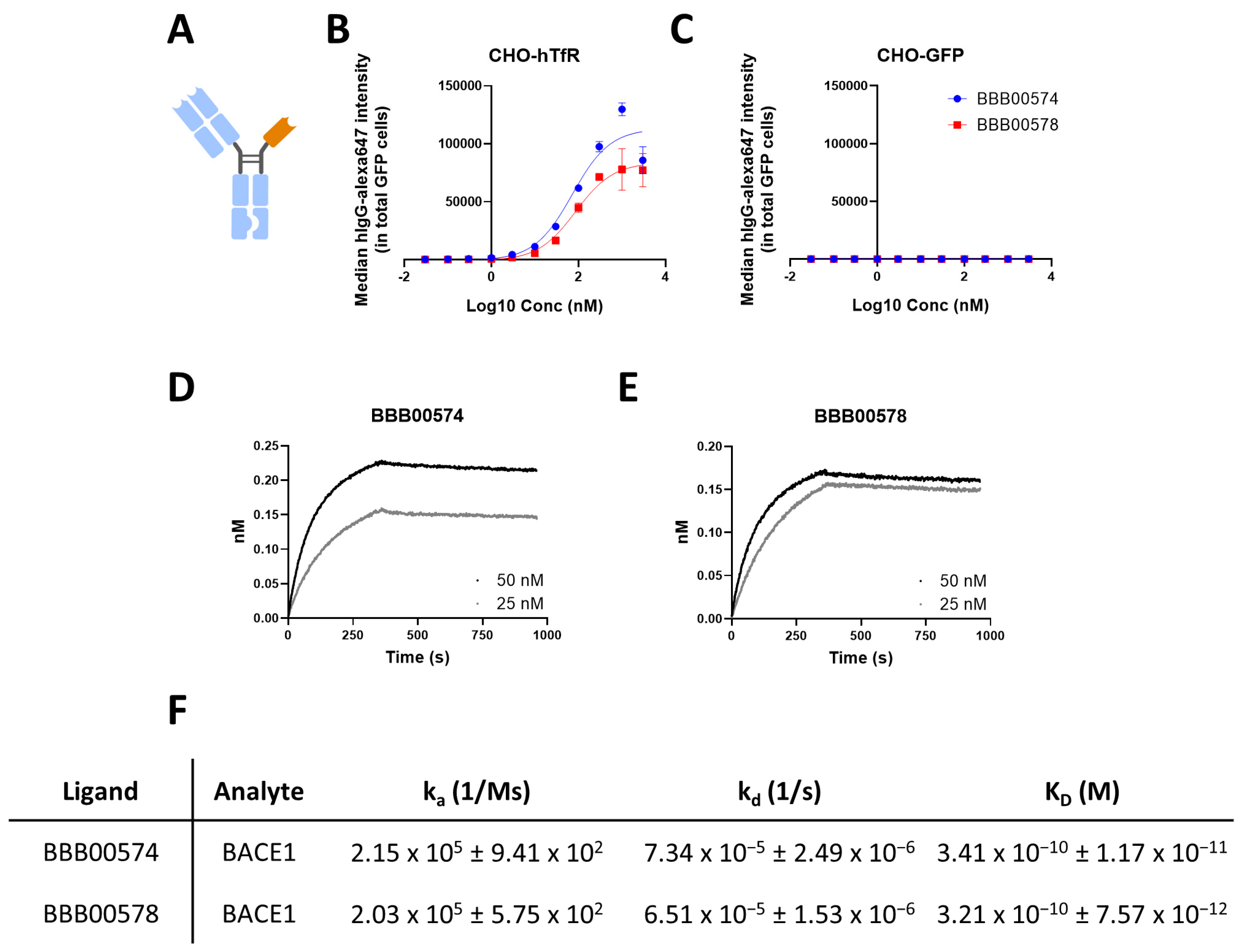 Pharmaceutics 15 01748 g002 Pharmaceutics 15 01748 g002
