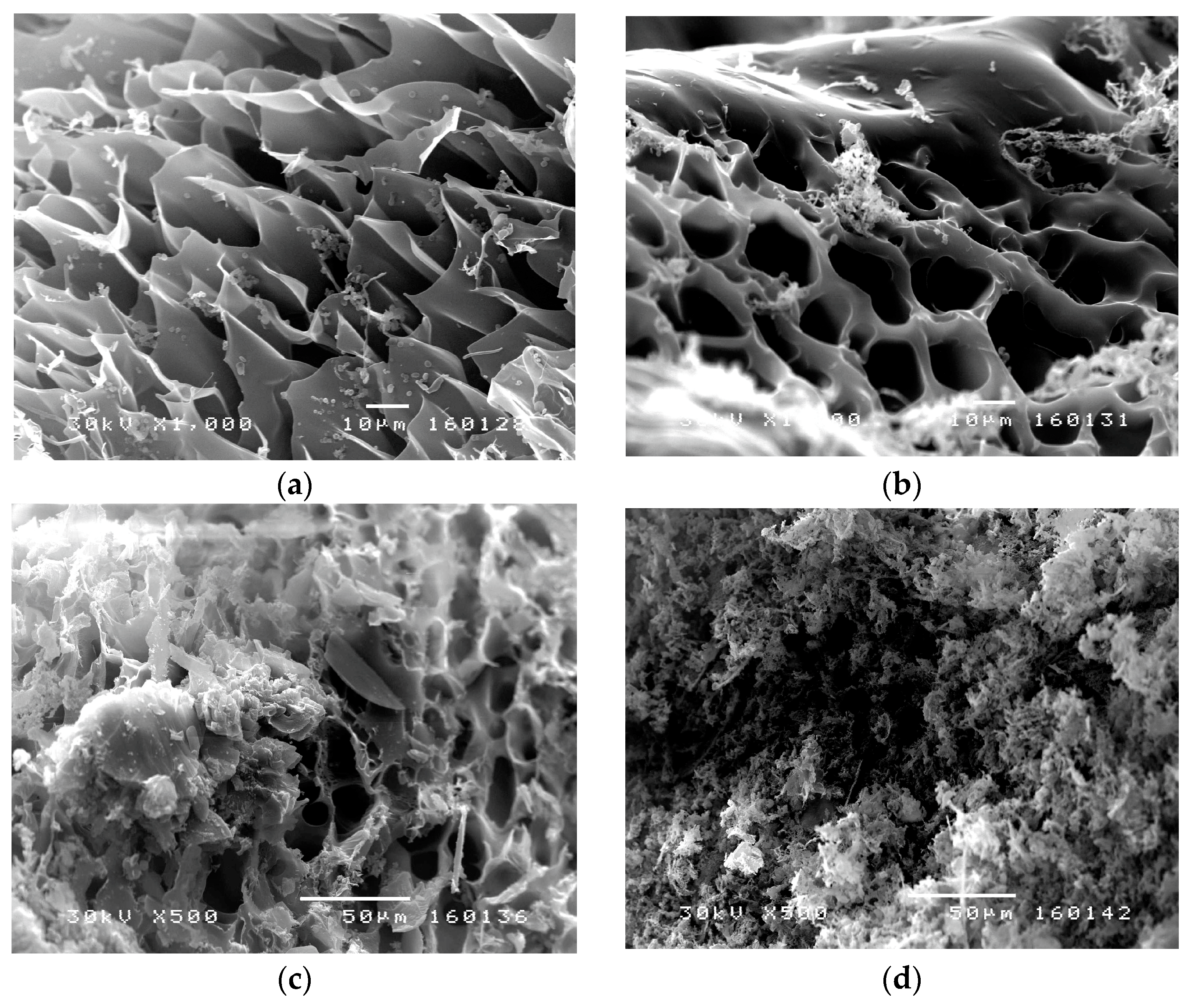 Pharmaceutics 15 01749 g009 Pharmaceutics 15 01749 g009