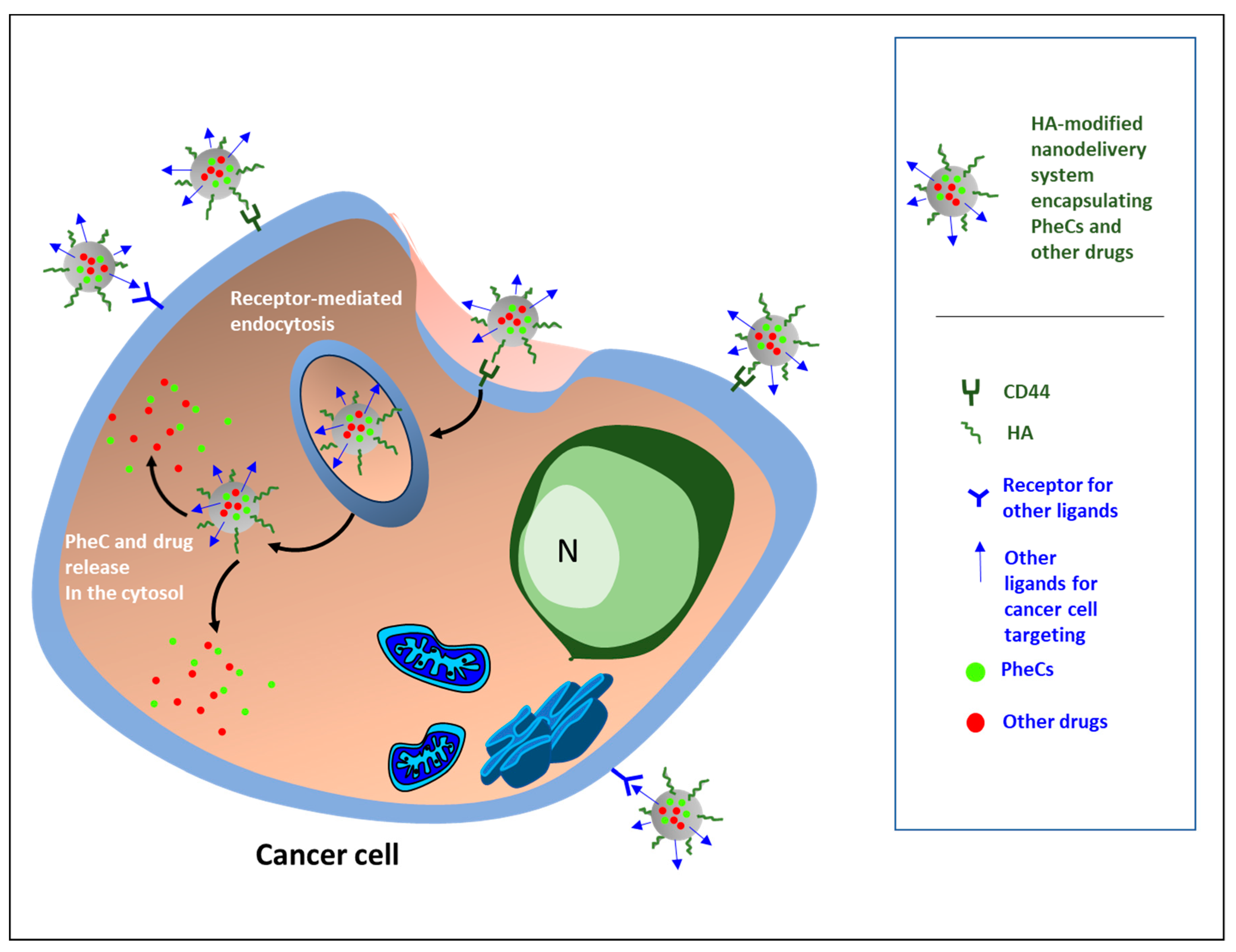 Pharmaceutics 15 01751 g002