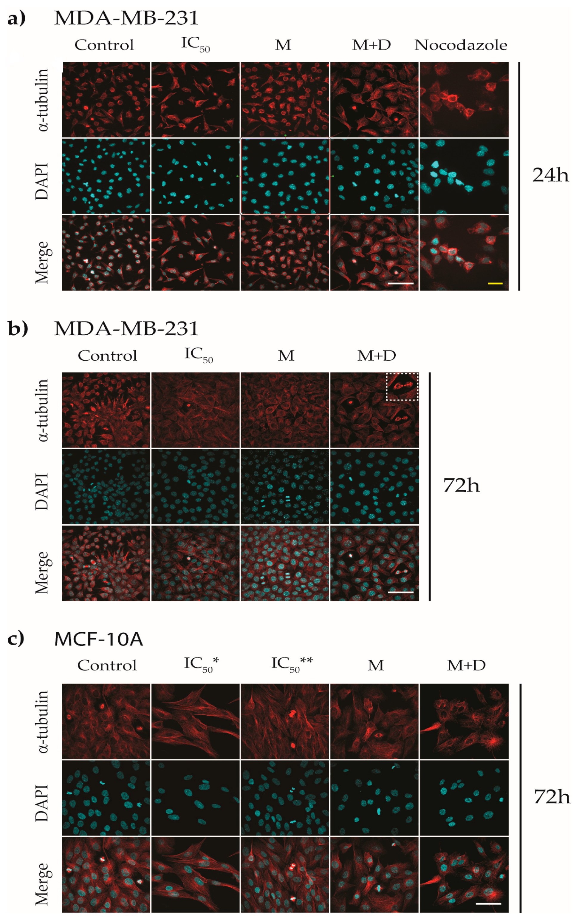 Pharmaceutics 15 01753 g007