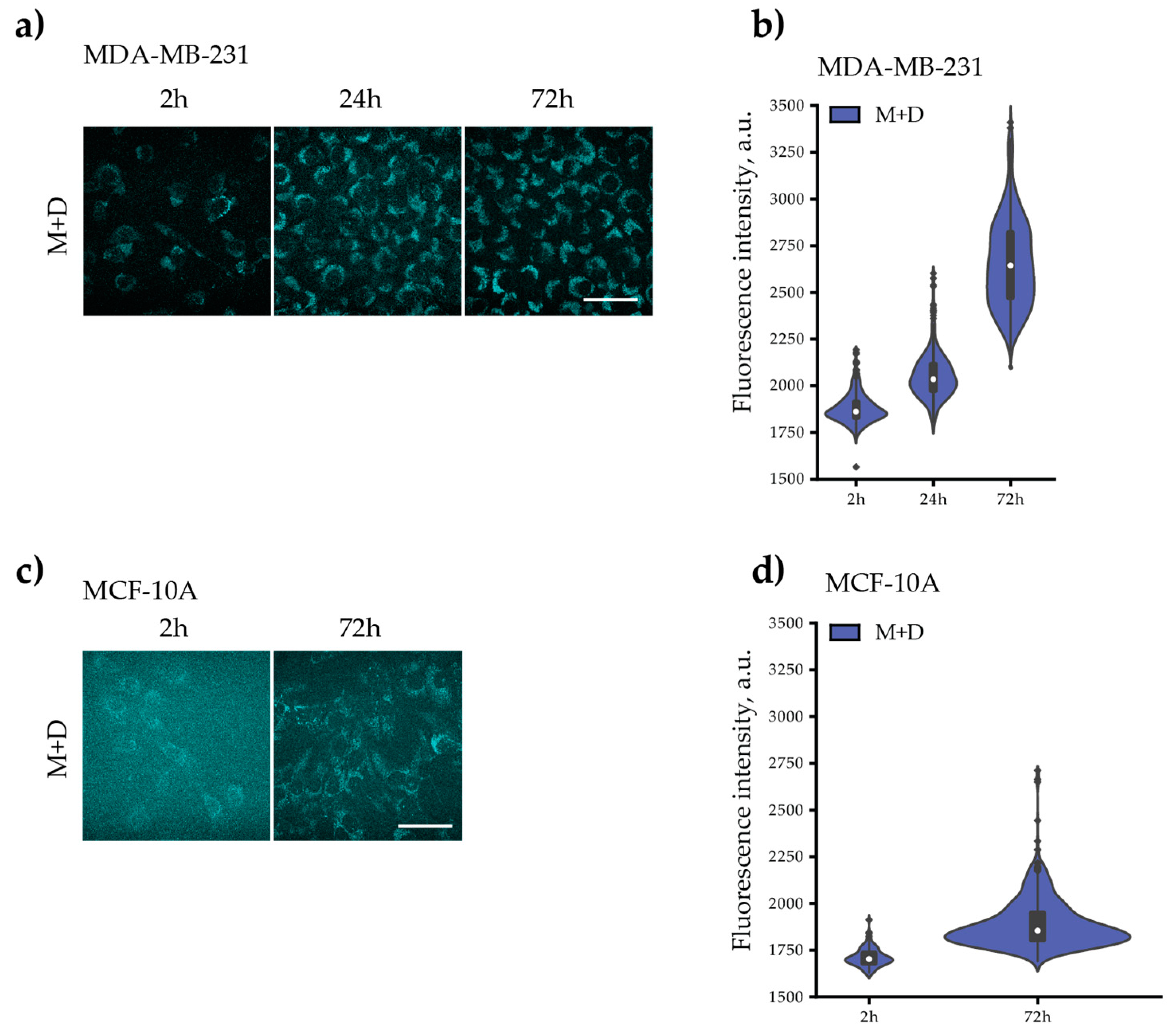 Pharmaceutics 15 01753 g009