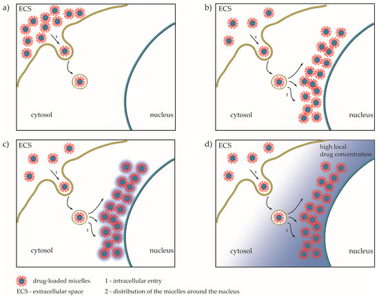 Novel Fluorescent Benzimidazole-Hydrazone-Loaded Micellar Carriers for ...