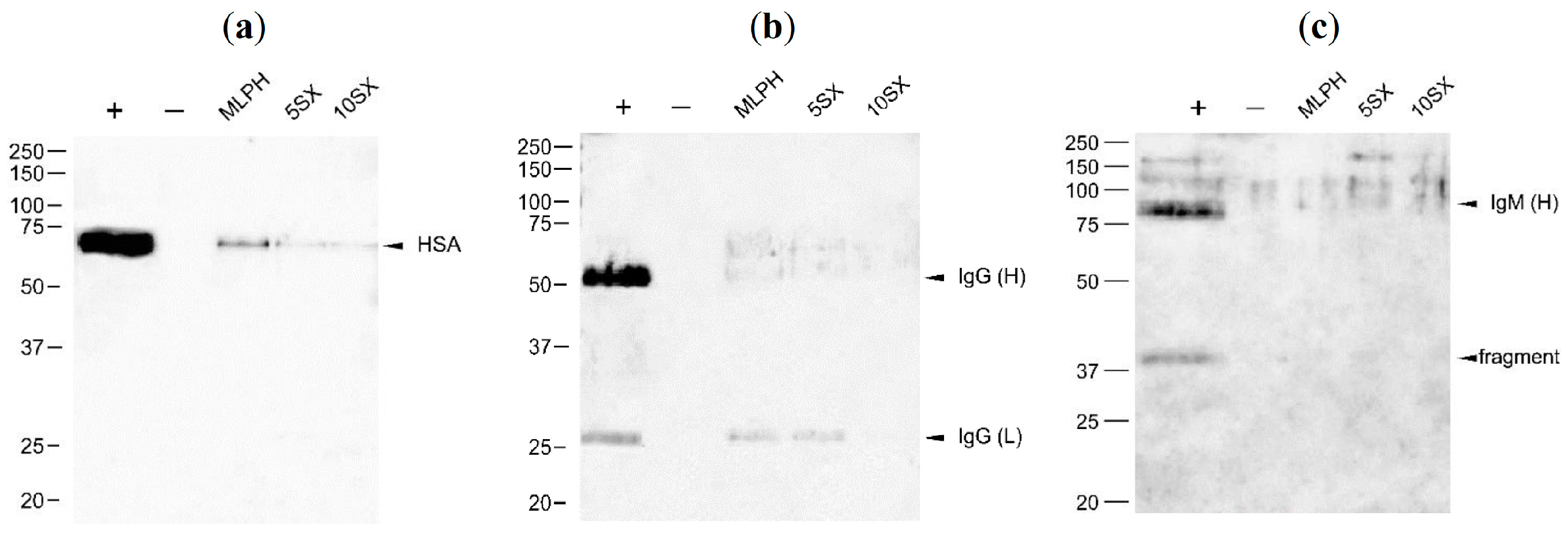 Pharmaceutics 15 01754 g010 Pharmaceutics 15 01754 g010