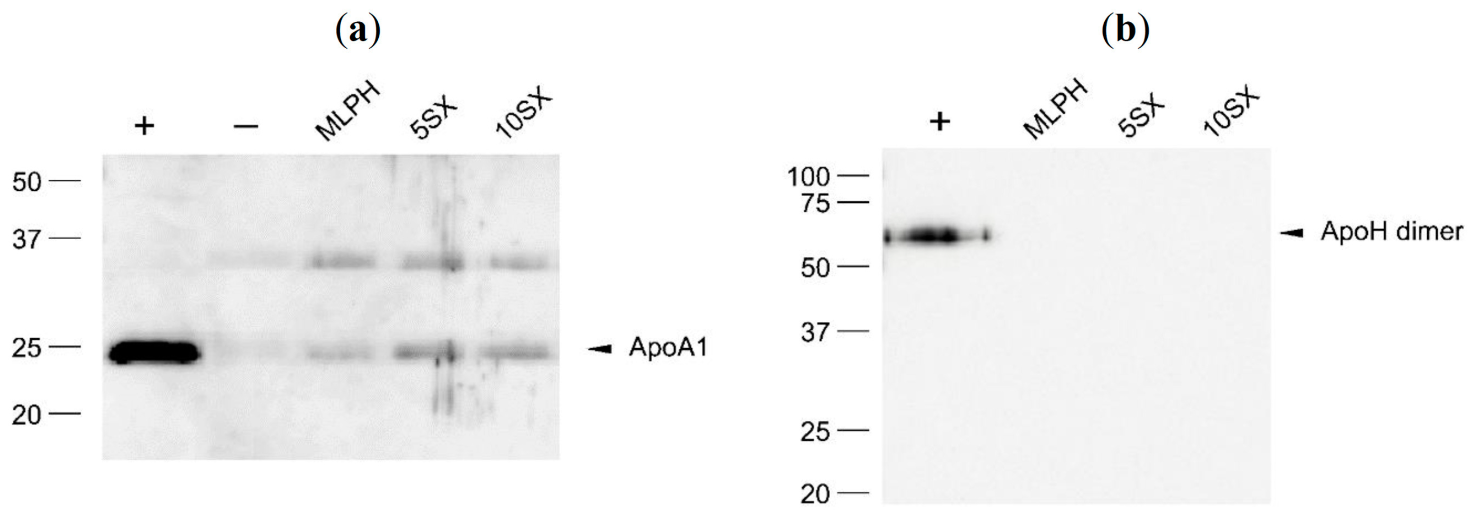Pharmaceutics 15 01754 g012 Pharmaceutics 15 01754 g012