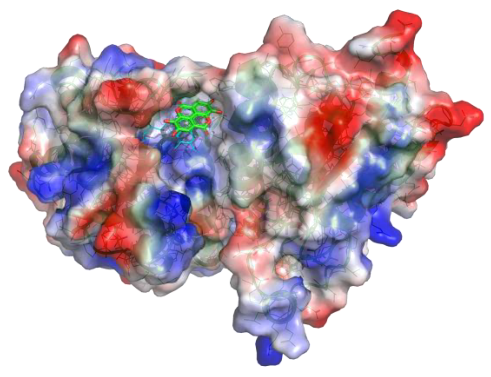 Pharmaceutics 15 01757 g006