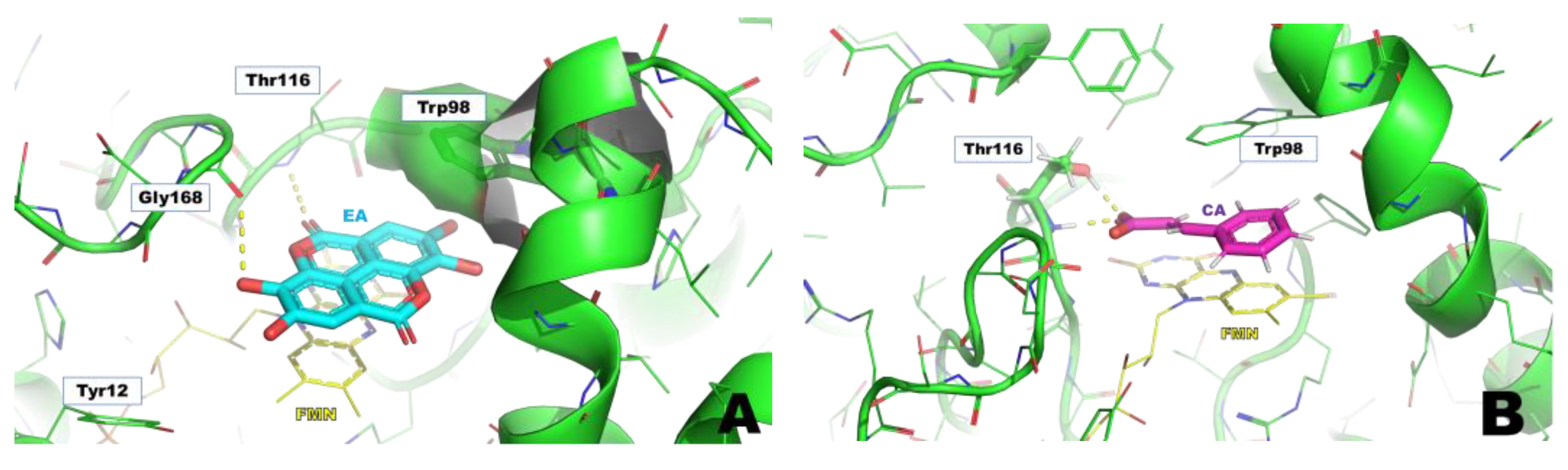 Pharmaceutics 15 01757 g007