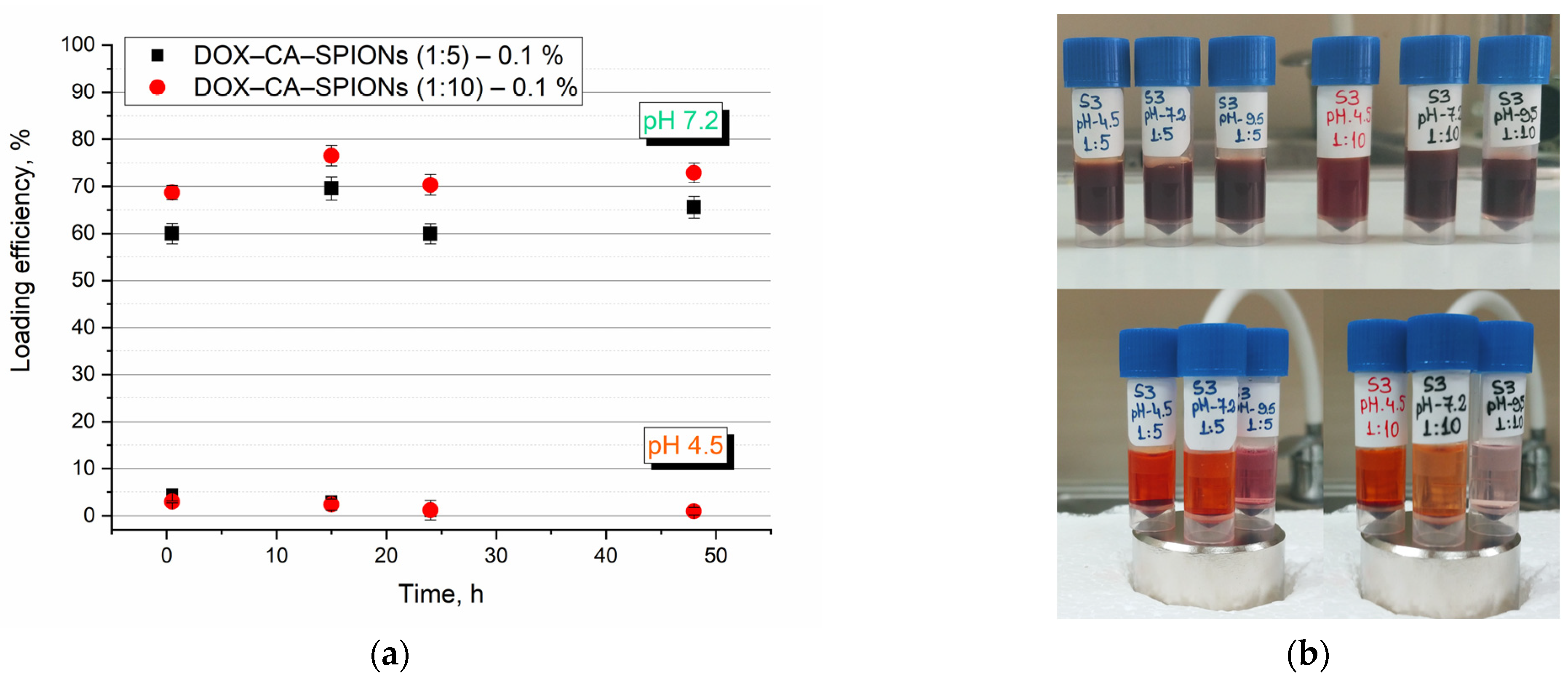 Pharmaceutics 15 01758 g008