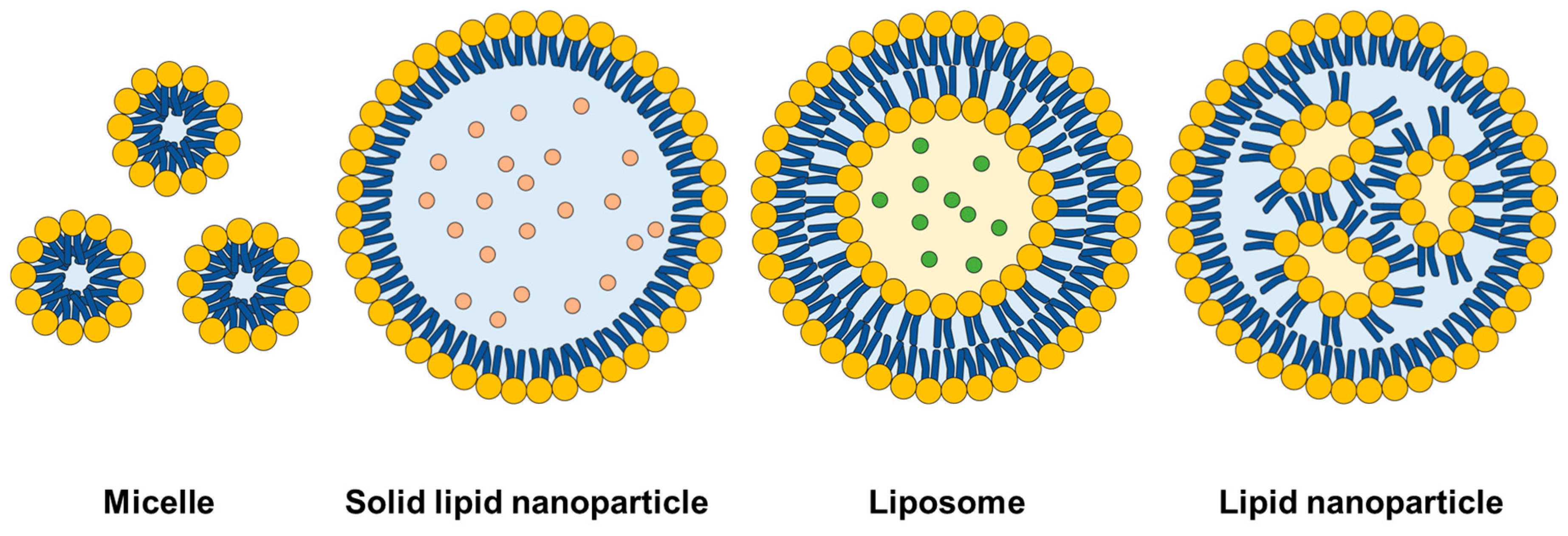 Pharmaceutics 15 01760 g001 Pharmaceutics 15 01760 g001