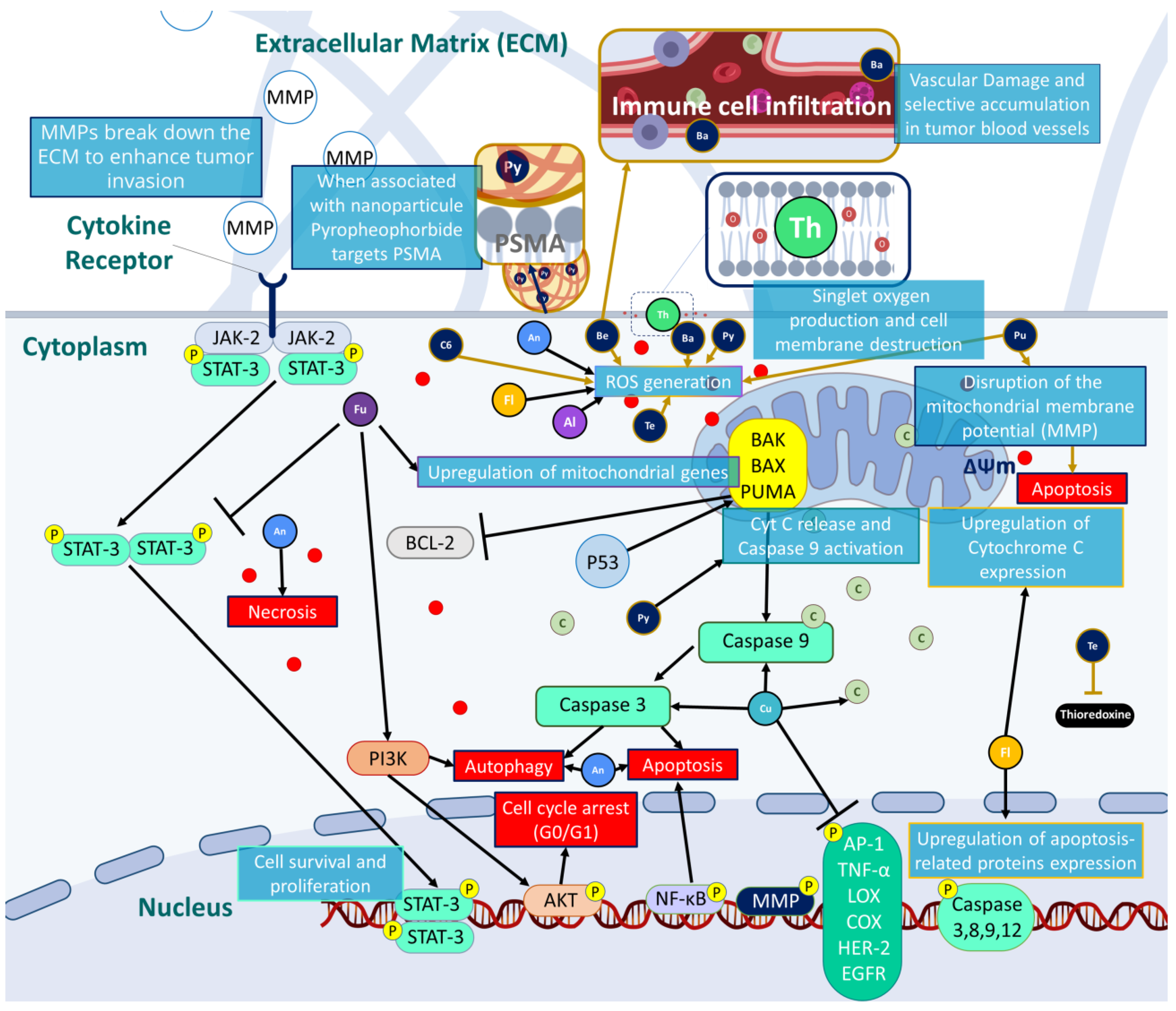 Pharmaceutics 15 01767 g003 Pharmaceutics 15 01767 g003