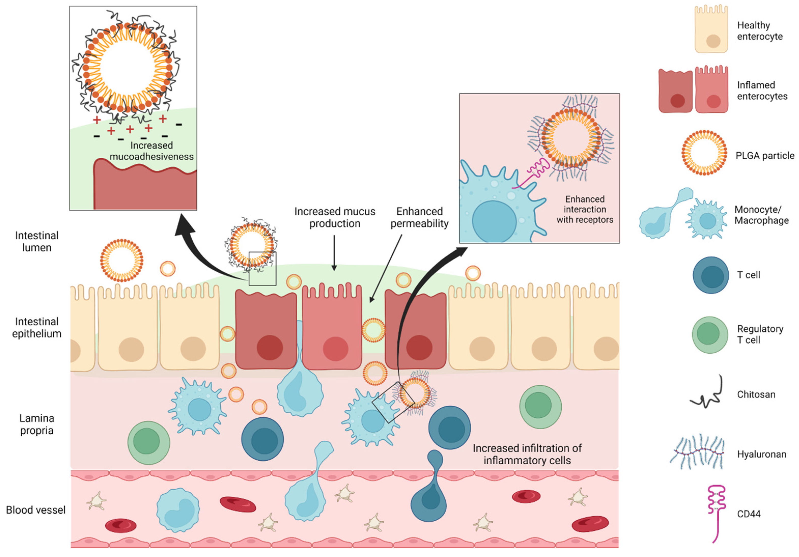 Pharmaceutics 15 01772 g001