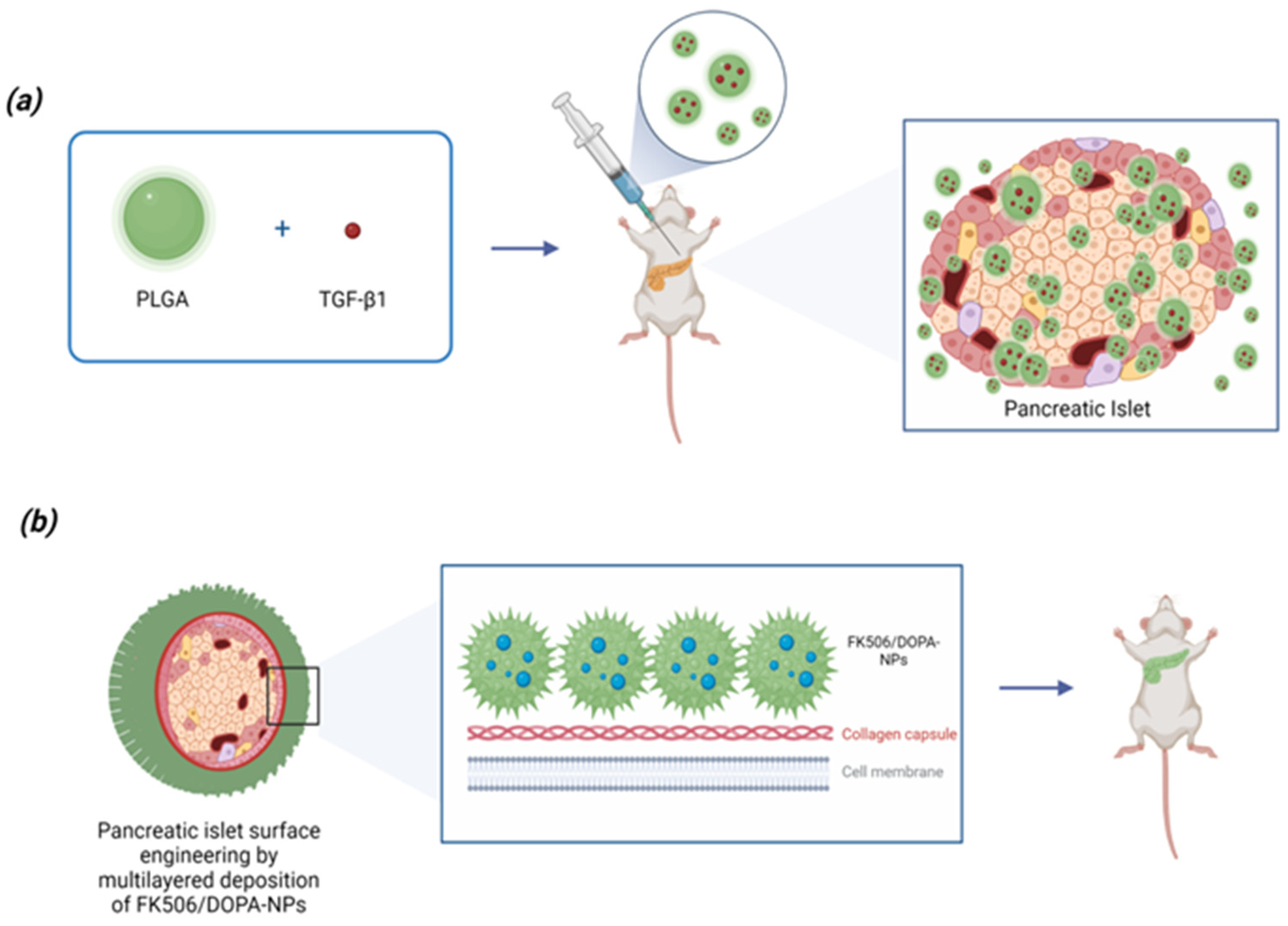 Pharmaceutics 15 01772 g002