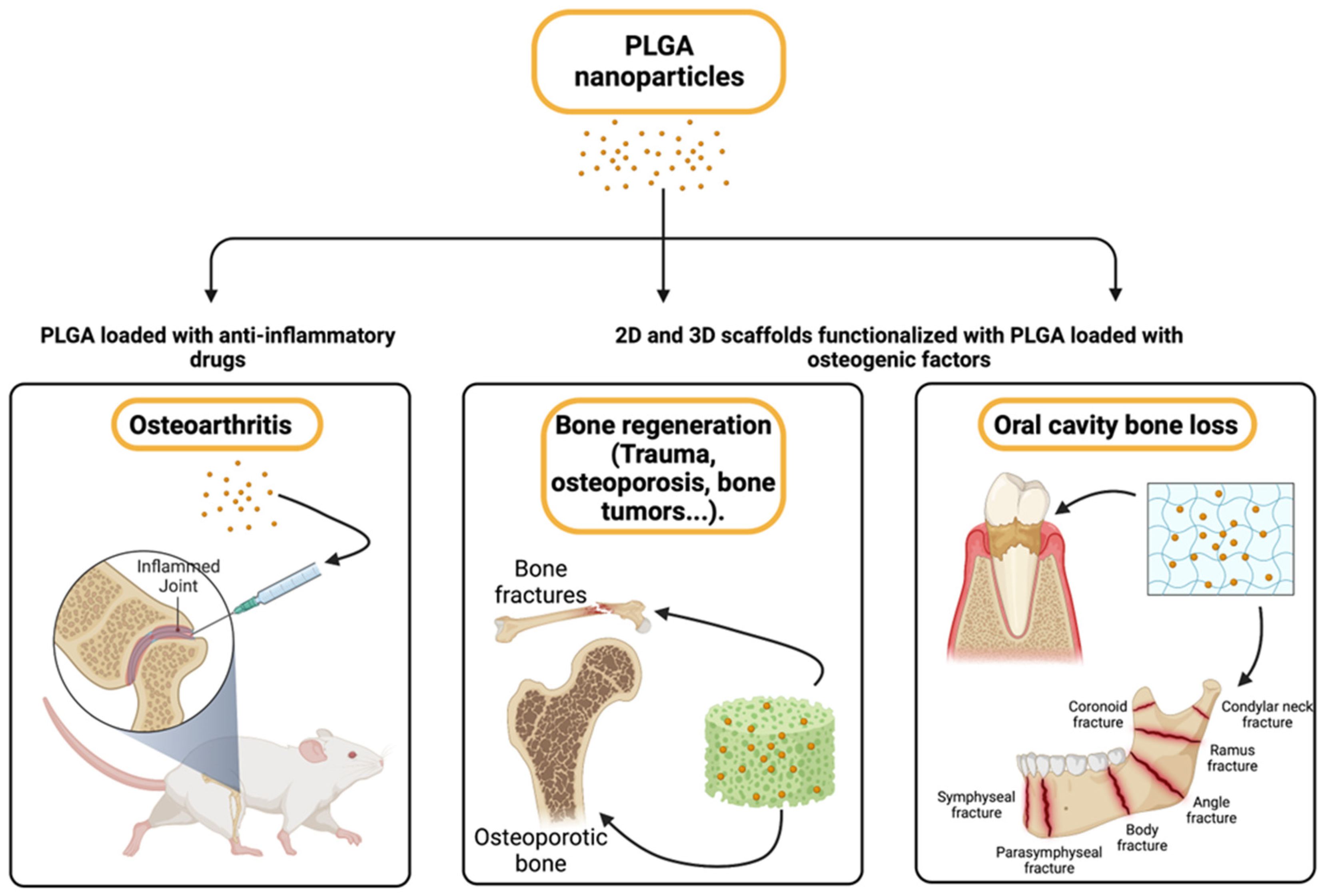 Pharmaceutics 15 01772 g003
