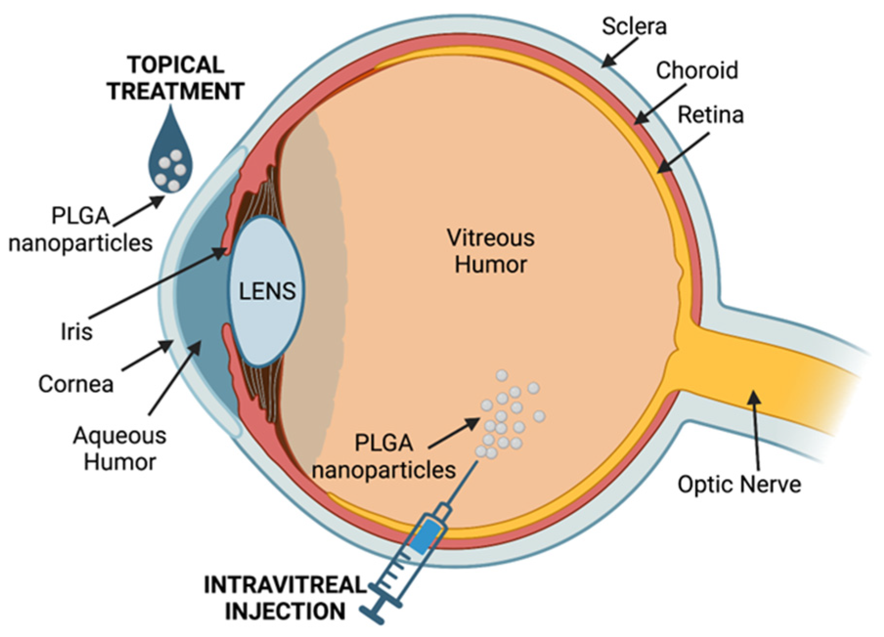 Pharmaceutics 15 01772 g004