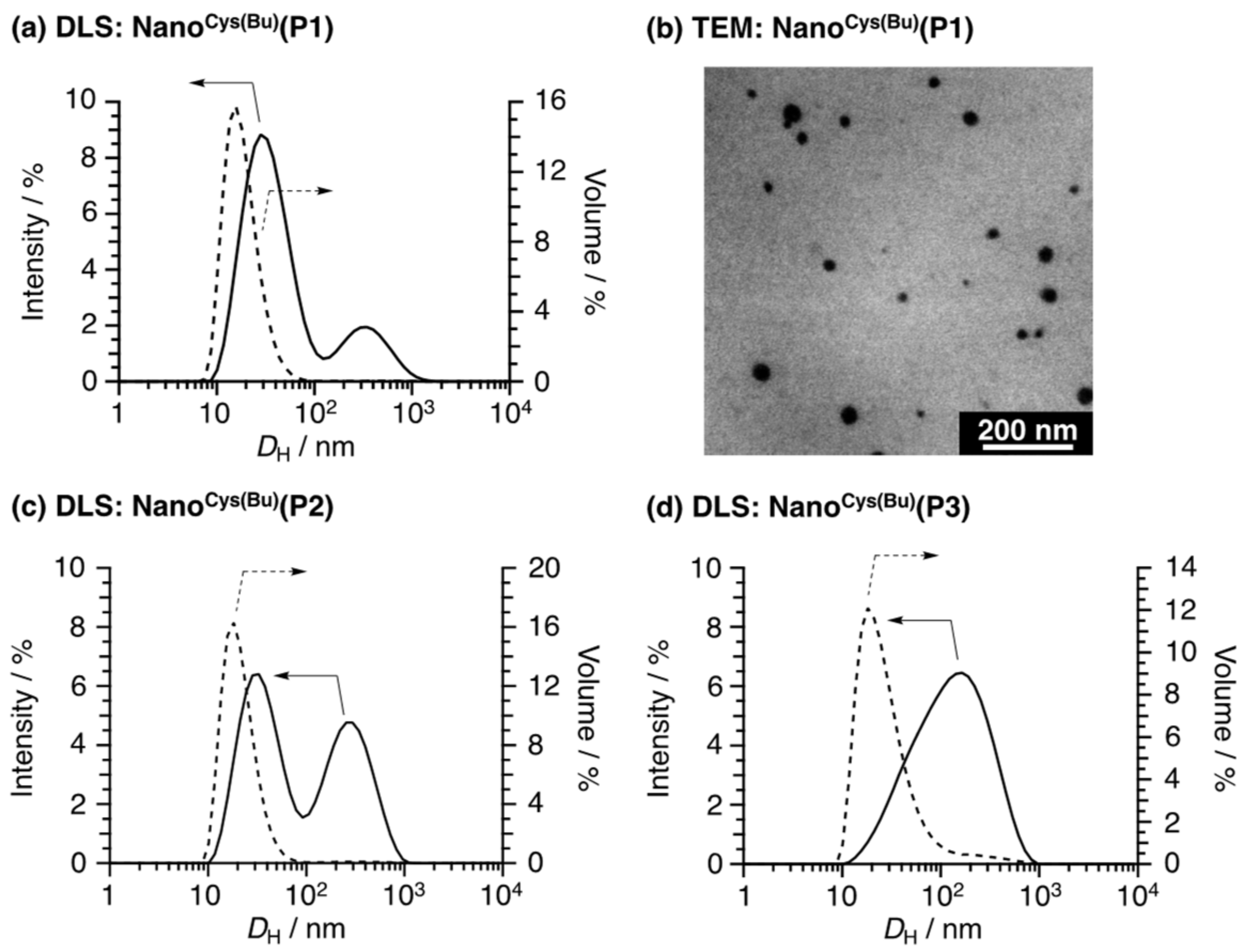 Pharmaceutics 15 01775 g003