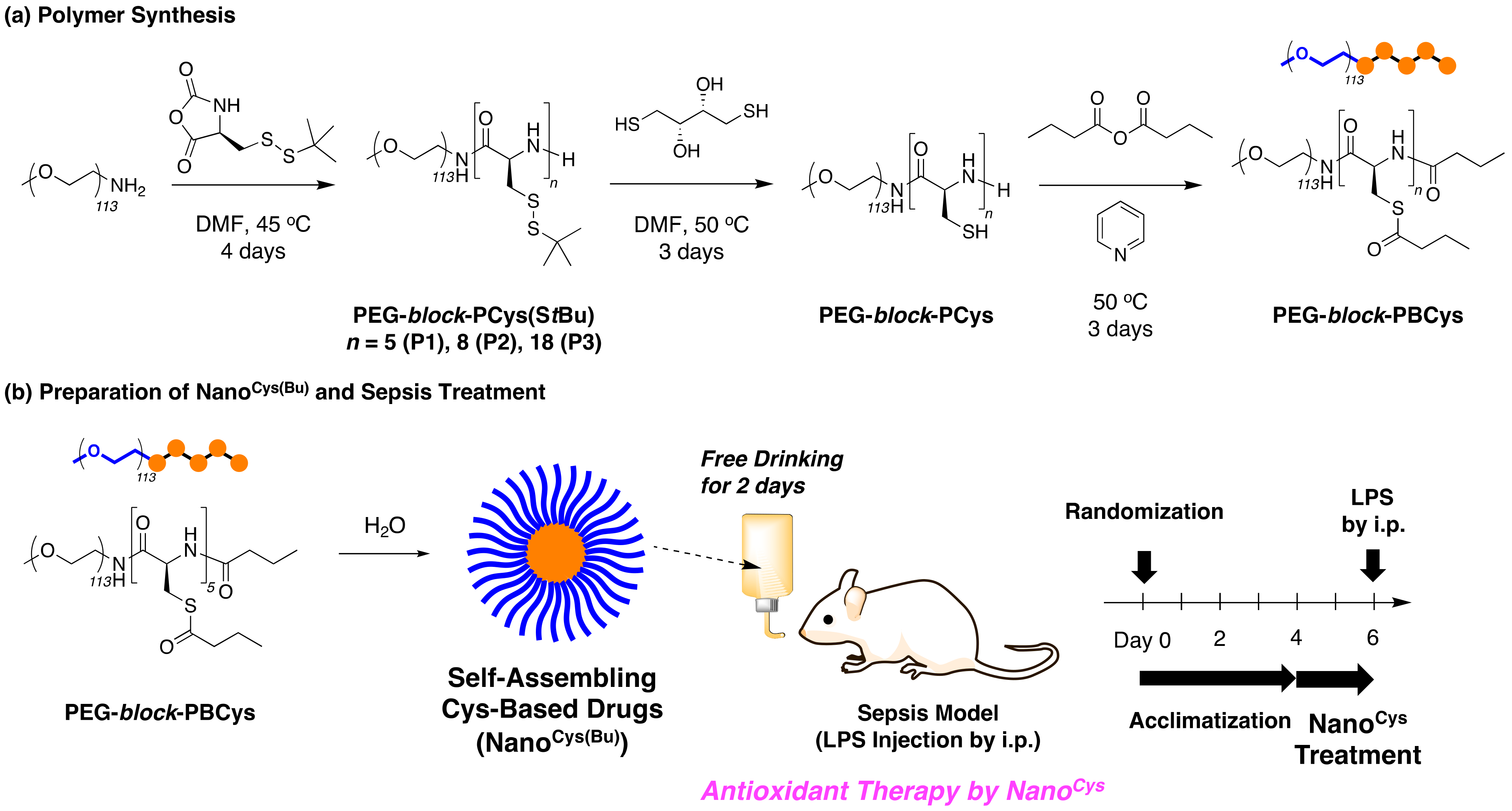Pharmaceutics 15 01775 sch001