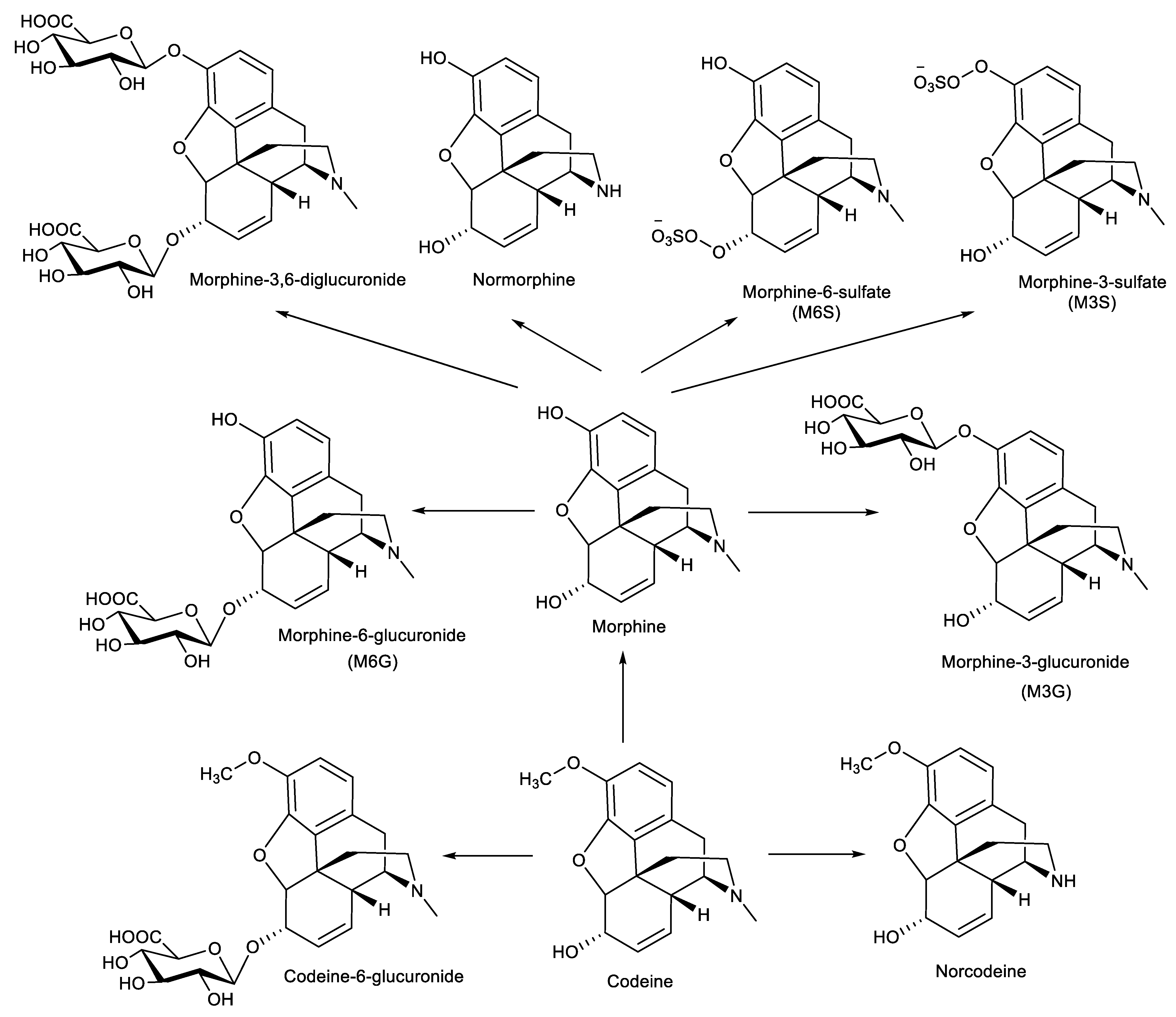 Pharmaceutics 15 01779 g002