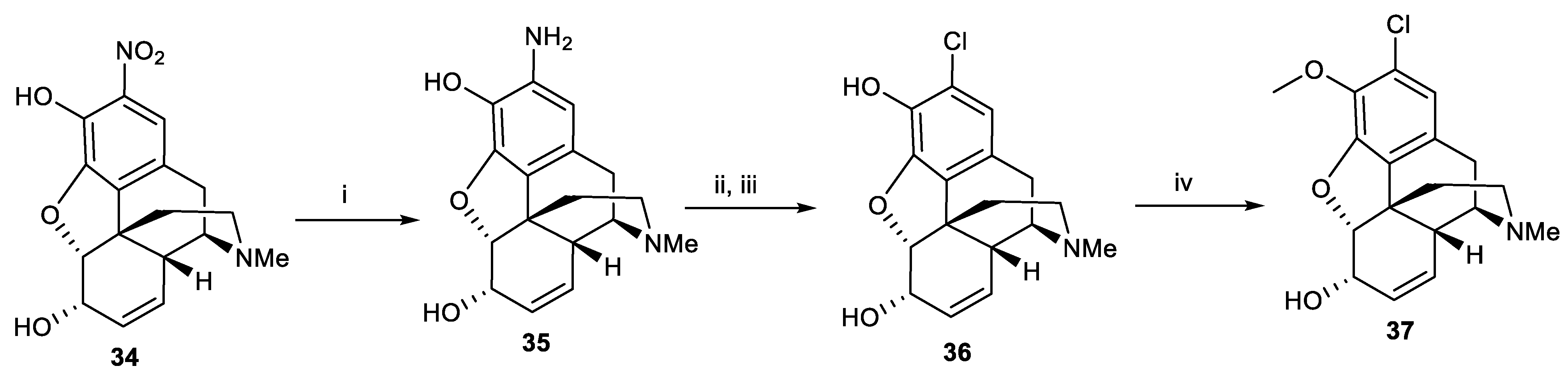 Pharmaceutics 15 01779 sch011