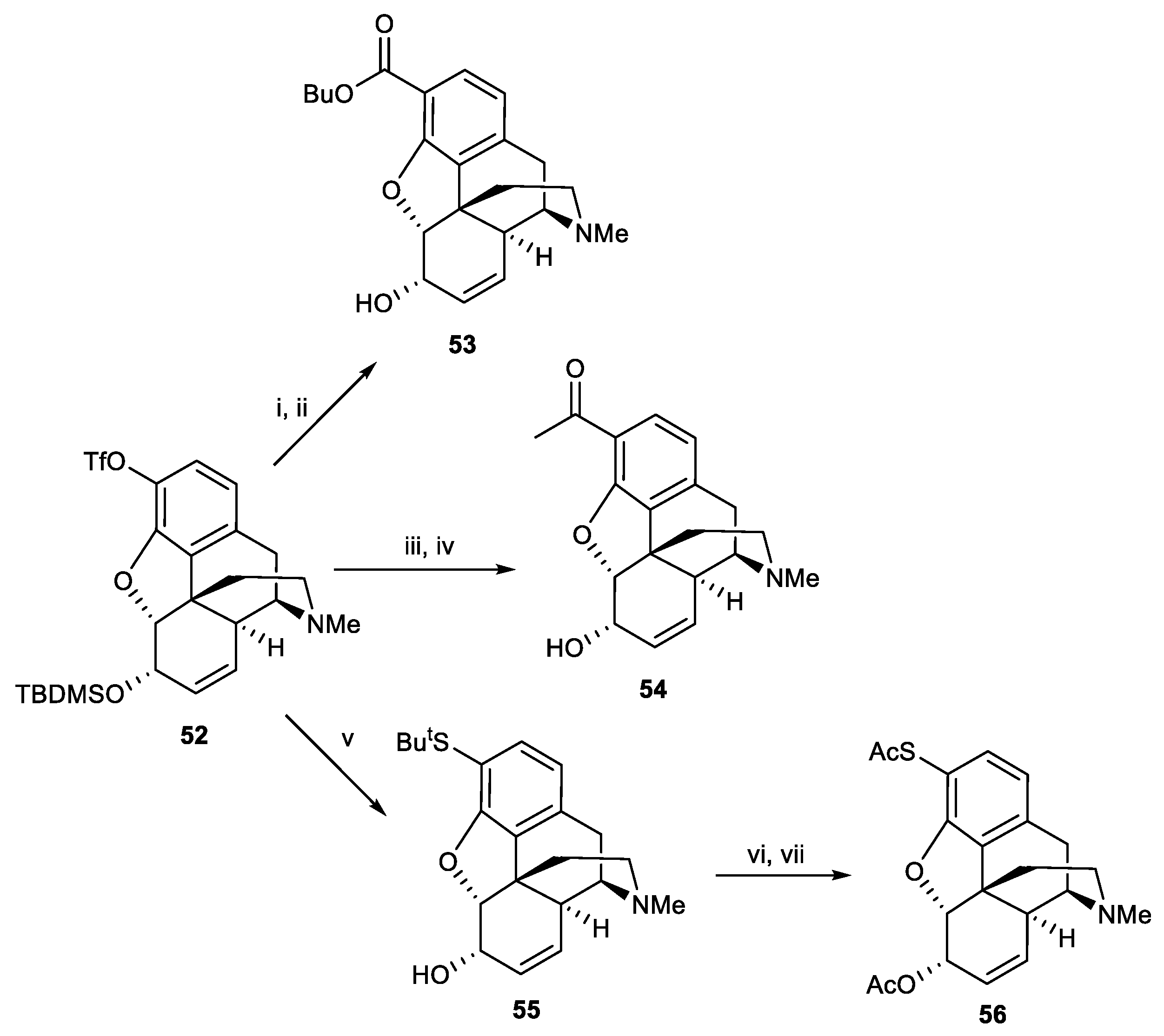 Pharmaceutics 15 01779 sch017