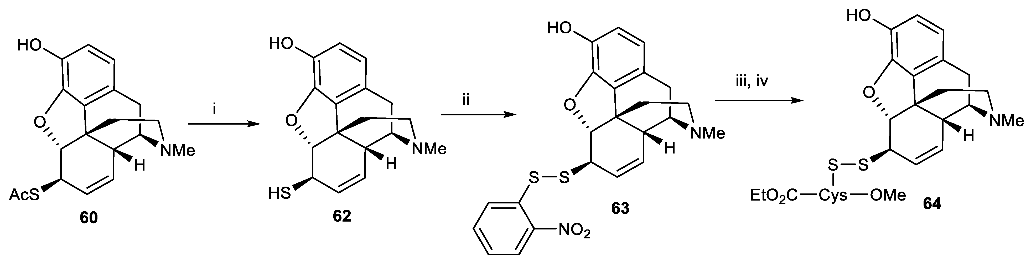 Pharmaceutics 15 01779 sch020