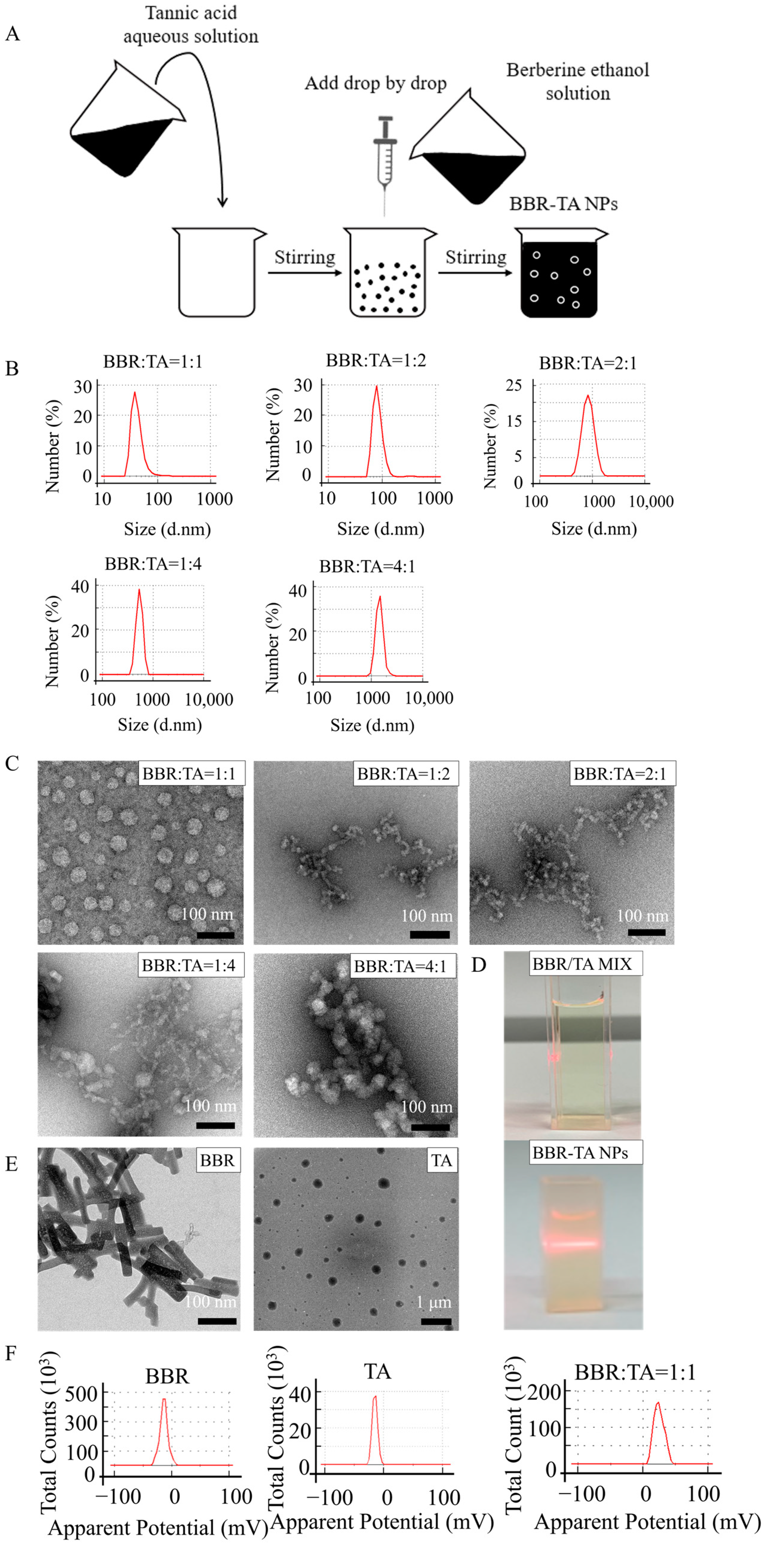 Pharmaceutics 15 01782 g001 Pharmaceutics 15 01782 g001